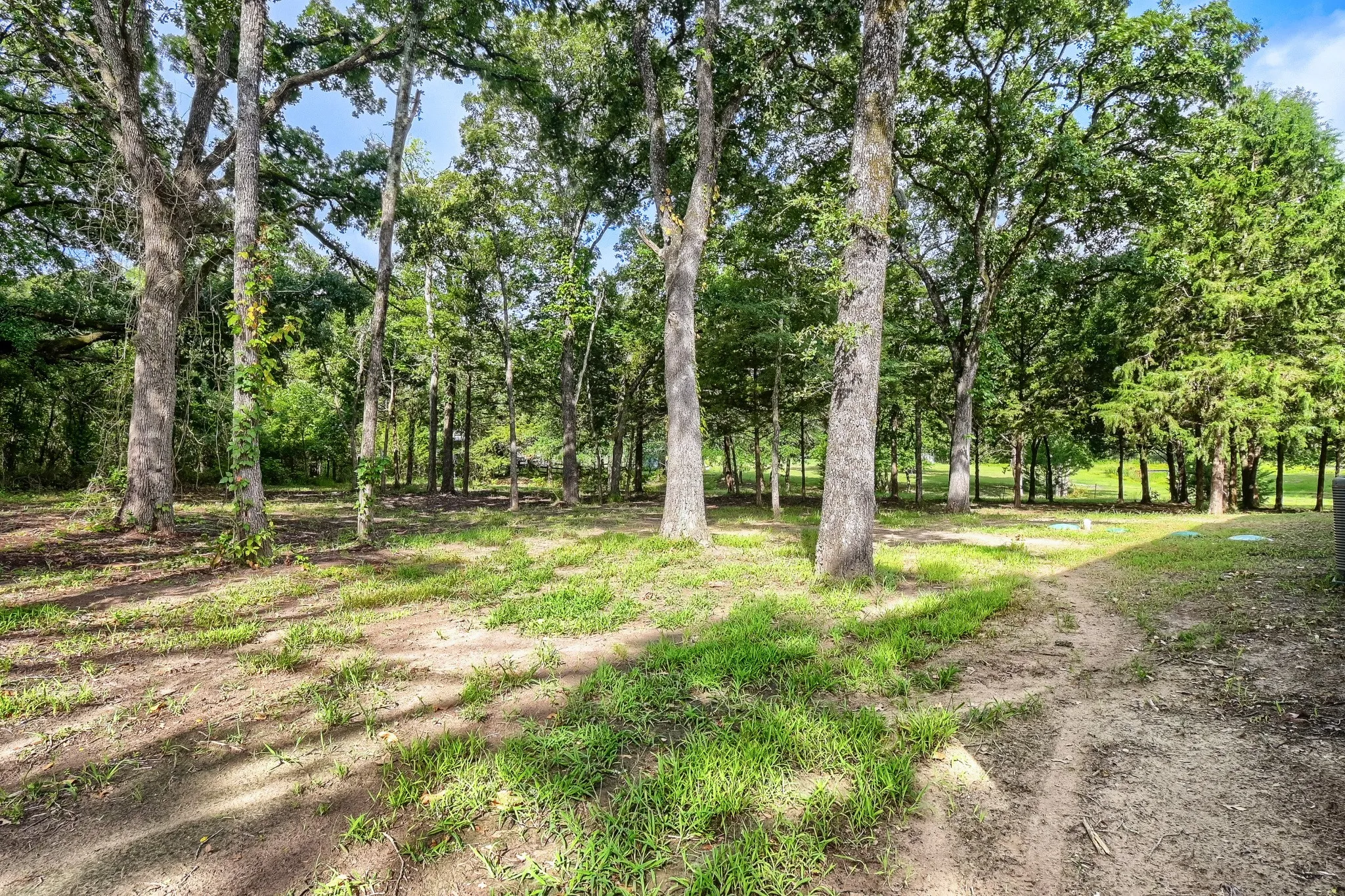 Heavily treed 5 acre lot surrounding the home.