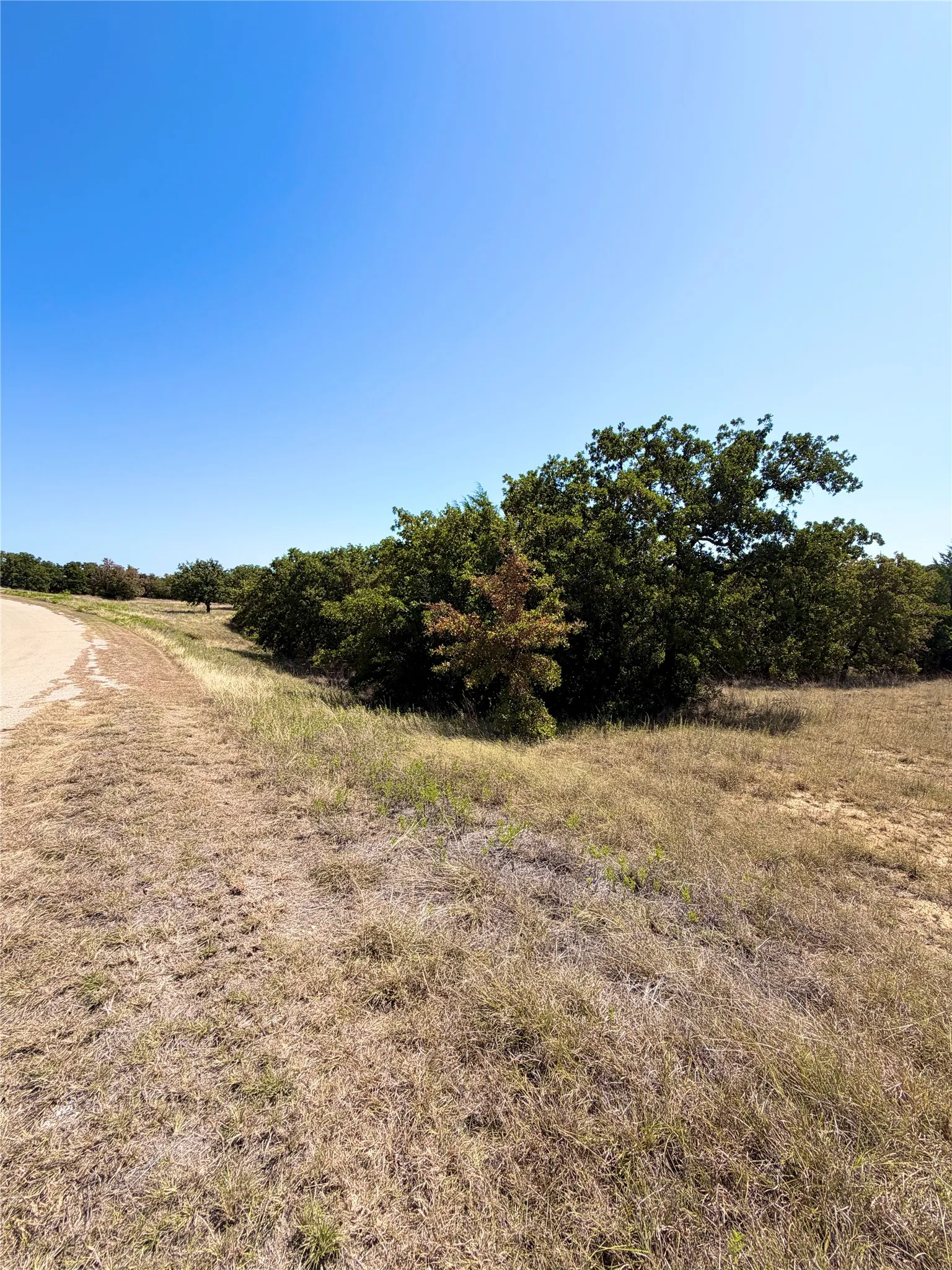Unimproved Land For Sale in Montague County , 118 Elm Cove, Sunset, Texas 76270, 0, 0, Garage spaces, 0 Sqft, built in 0, mls#21340217, Real Estate Agent in Sunset, Homes For Sale in Montague county, Homes For Sale in Sunset, Realtor in Sunset Texas, Real Estate Brokerage Independent Realty Texas, Luminita Cordes Realtor