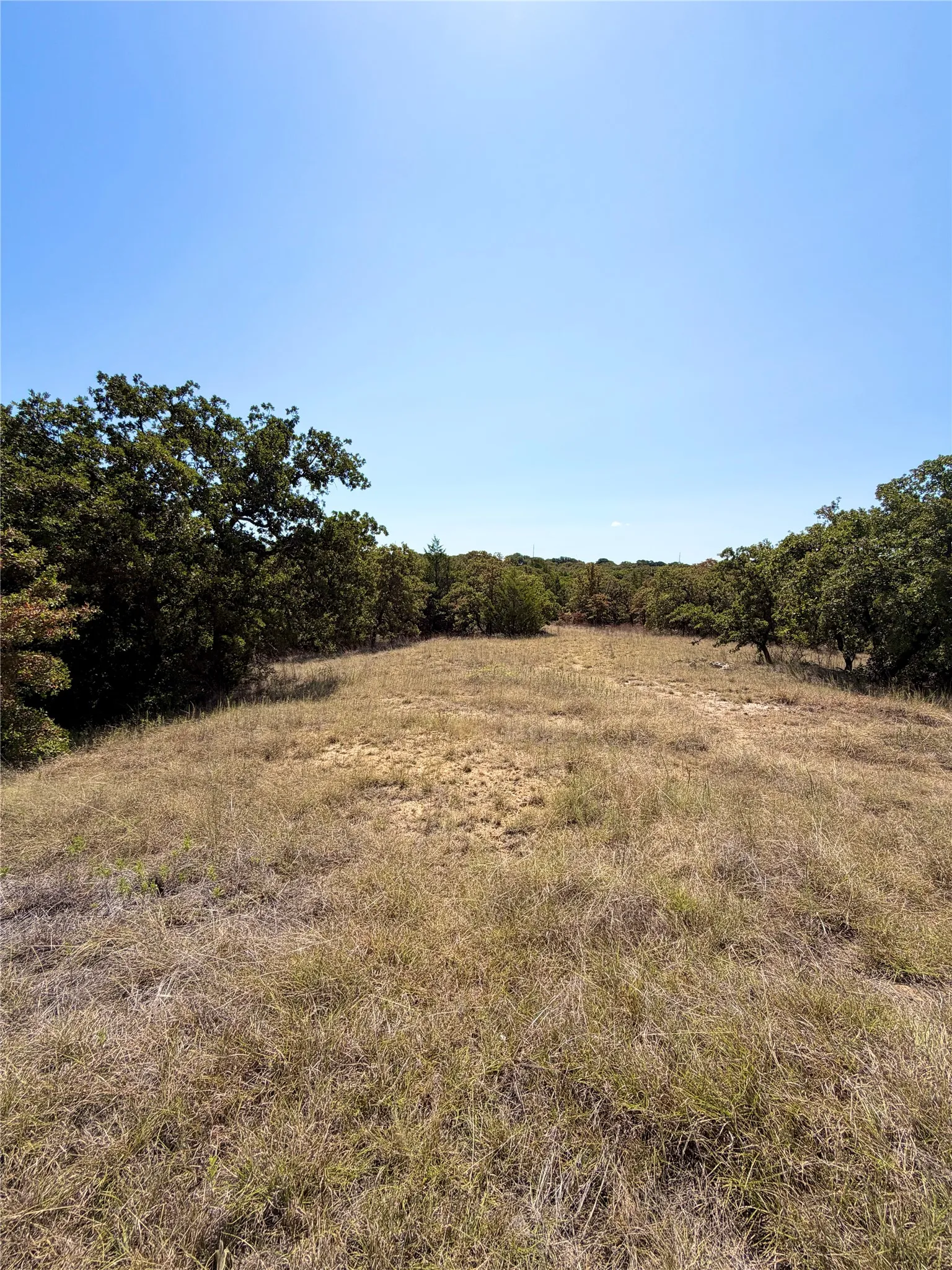 Unimproved Land For Sale in Montague County , 118 Elm Cove, Sunset, Texas 76270, 0, 0, Garage spaces, 0 Sqft, built in 0, mls#21340217, Real Estate Agent in Sunset, Homes For Sale in Montague county, Homes For Sale in Sunset, Realtor in Sunset Texas, Real Estate Brokerage Independent Realty Texas, Luminita Cordes Realtor