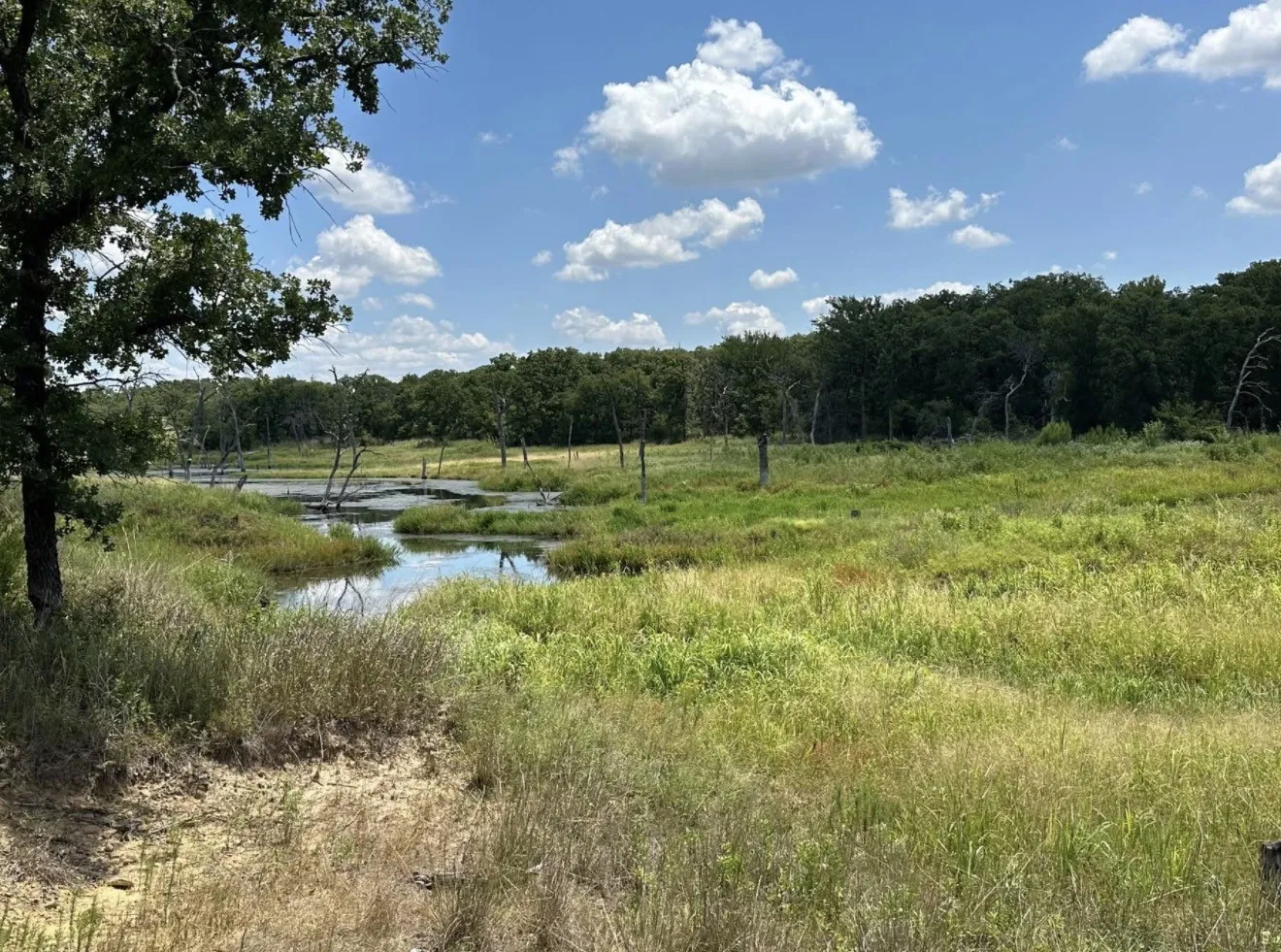 Unimproved Land For Sale in Montague County , 118 Elm Cove, Sunset, Texas 76270, 0, 0, Garage spaces, 0 Sqft, built in 0, mls#21340217, Real Estate Agent in Sunset, Homes For Sale in Montague county, Homes For Sale in Sunset, Realtor in Sunset Texas, Real Estate Brokerage Independent Realty Texas, Luminita Cordes Realtor