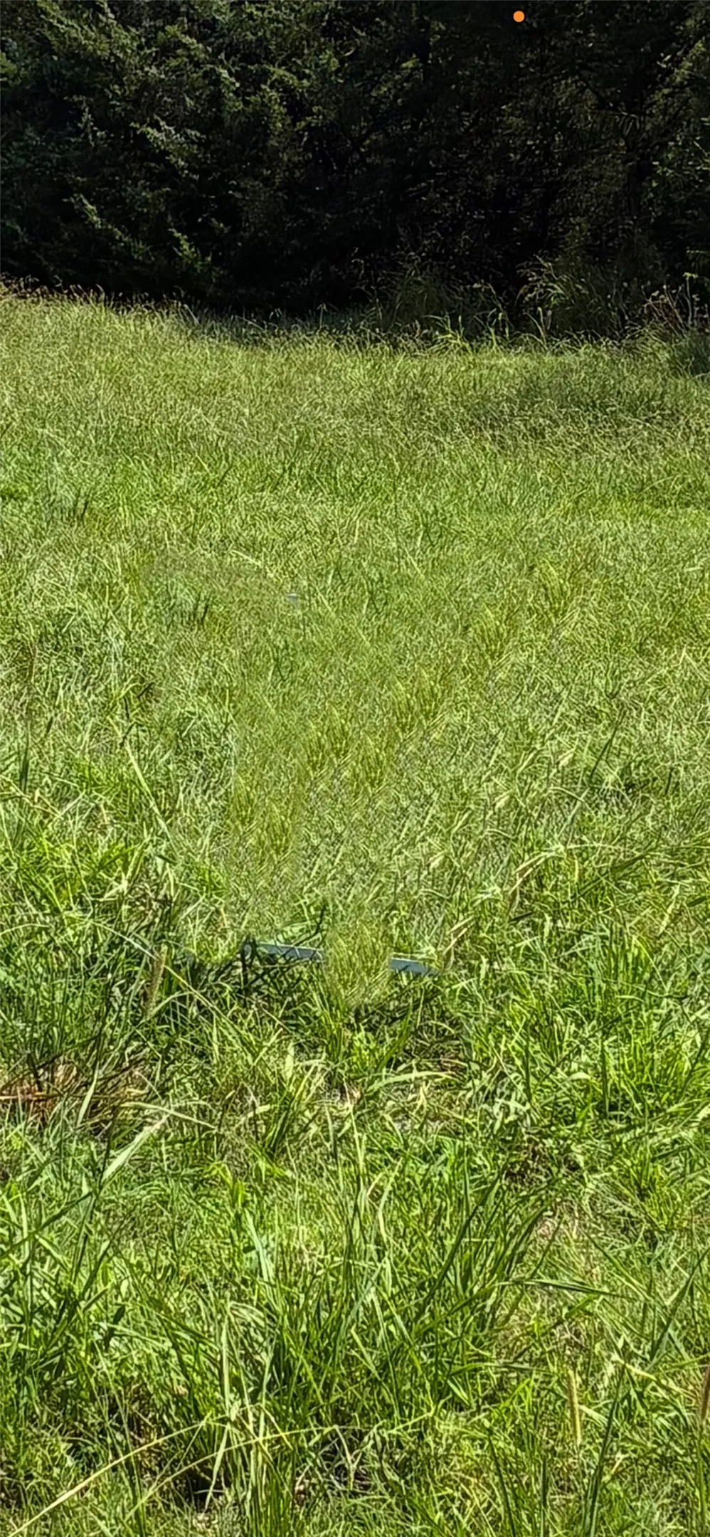 Improved Land For Sale in Hunt County , 1204 Williamsburg Road, Greenville, Texas 75401, 0, 0, Garage spaces, 0 Sqft, built in 0, mls#21339090, Real Estate Agent in Greenville, Homes For Sale in Hunt county, Homes For Sale in Greenville, Realtor in Greenville Texas, Real Estate Brokerage Independent Realty Texas, Luminita Cordes Realtor