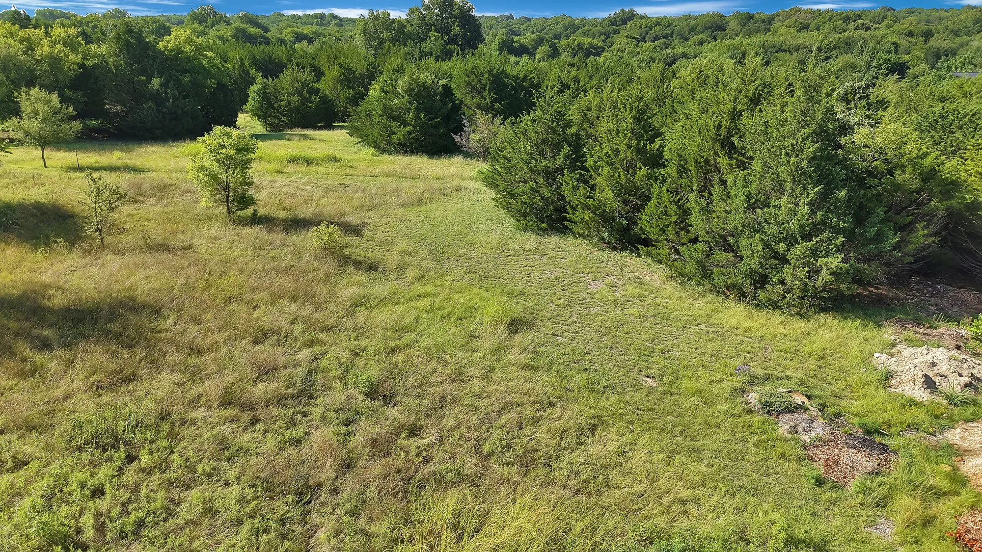 Unimproved Land For Sale in Collin County , TBD County Road 317, Mc Kinney, Texas 75069, 0, 0, Garage spaces, 0 Sqft, built in 0, Price $999,000, mls#21329337, Real Estate Agent in Mc Kinney, Homes For Sale in Collin county, Homes For Sale in Mc Kinney, Realtor in Mc Kinney Texas, Real Estate Brokerage Independent Realty Texas, Luminita Cordes Realtor