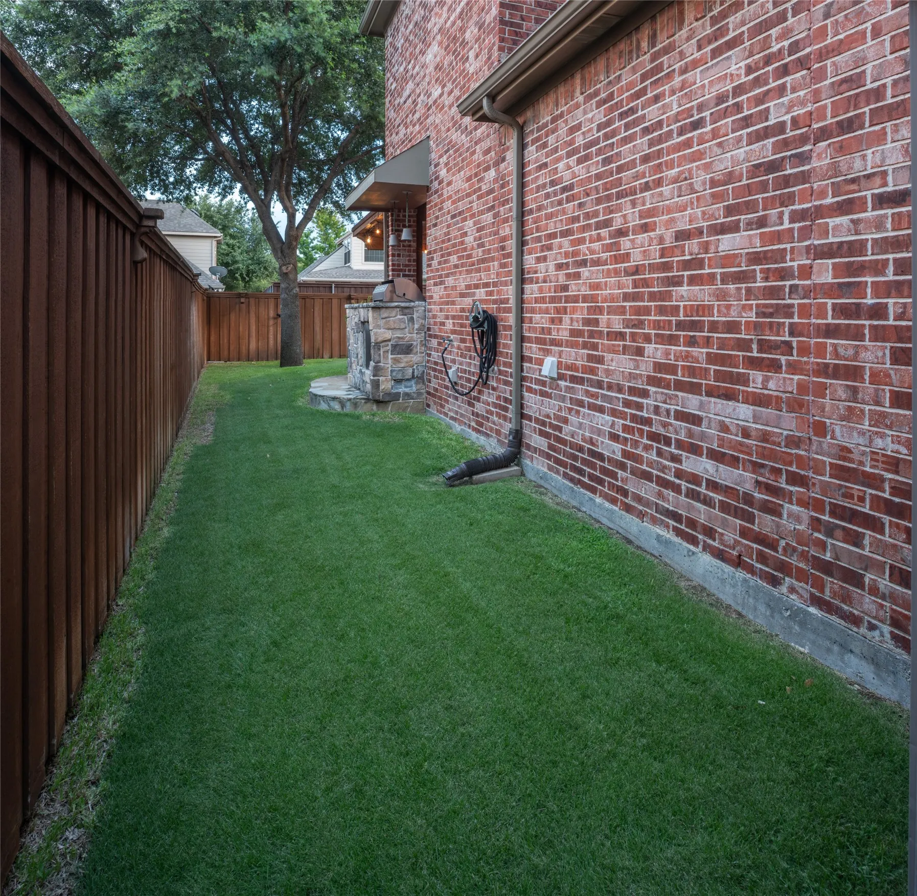 Side Yard