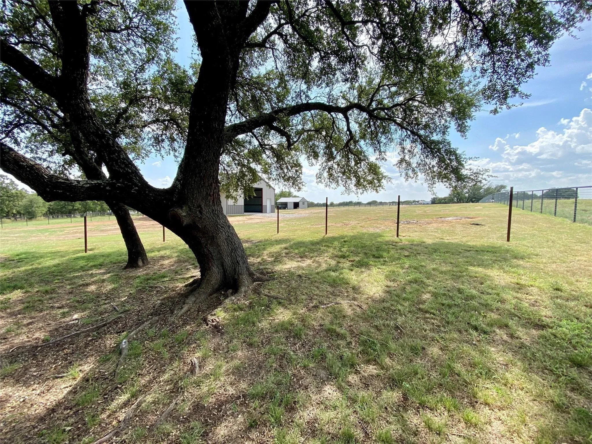 Expansive grassy area featuring mature trees and a fenced perimeter