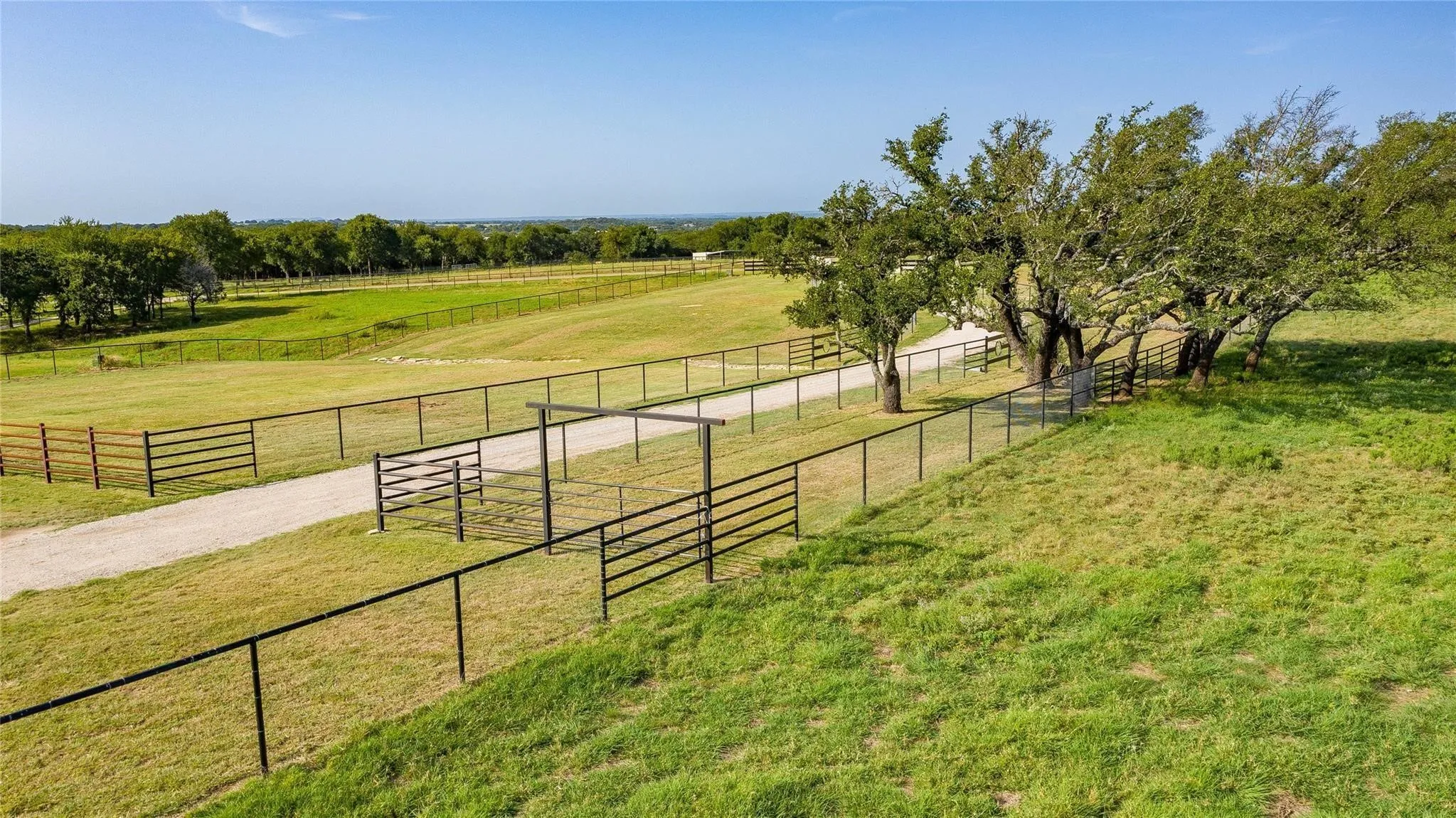 Expansive fenced acreage featuring a gravel driveway, mature trees, and a distant tree line