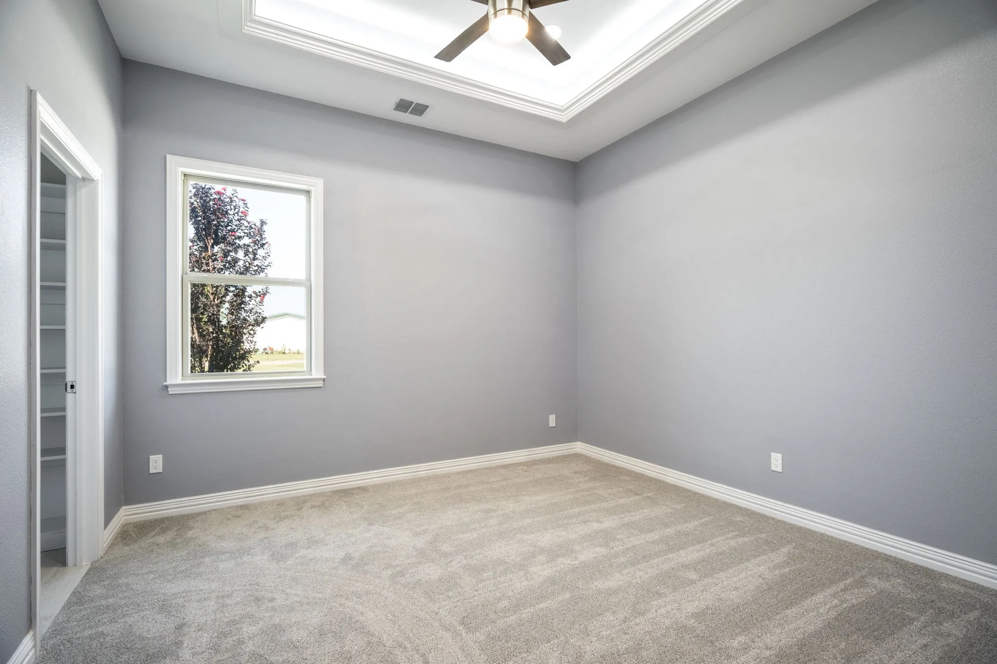 Carpeted room featuring a single window with white trim, a tray ceiling with a ceiling fan, and light gray wall finishes