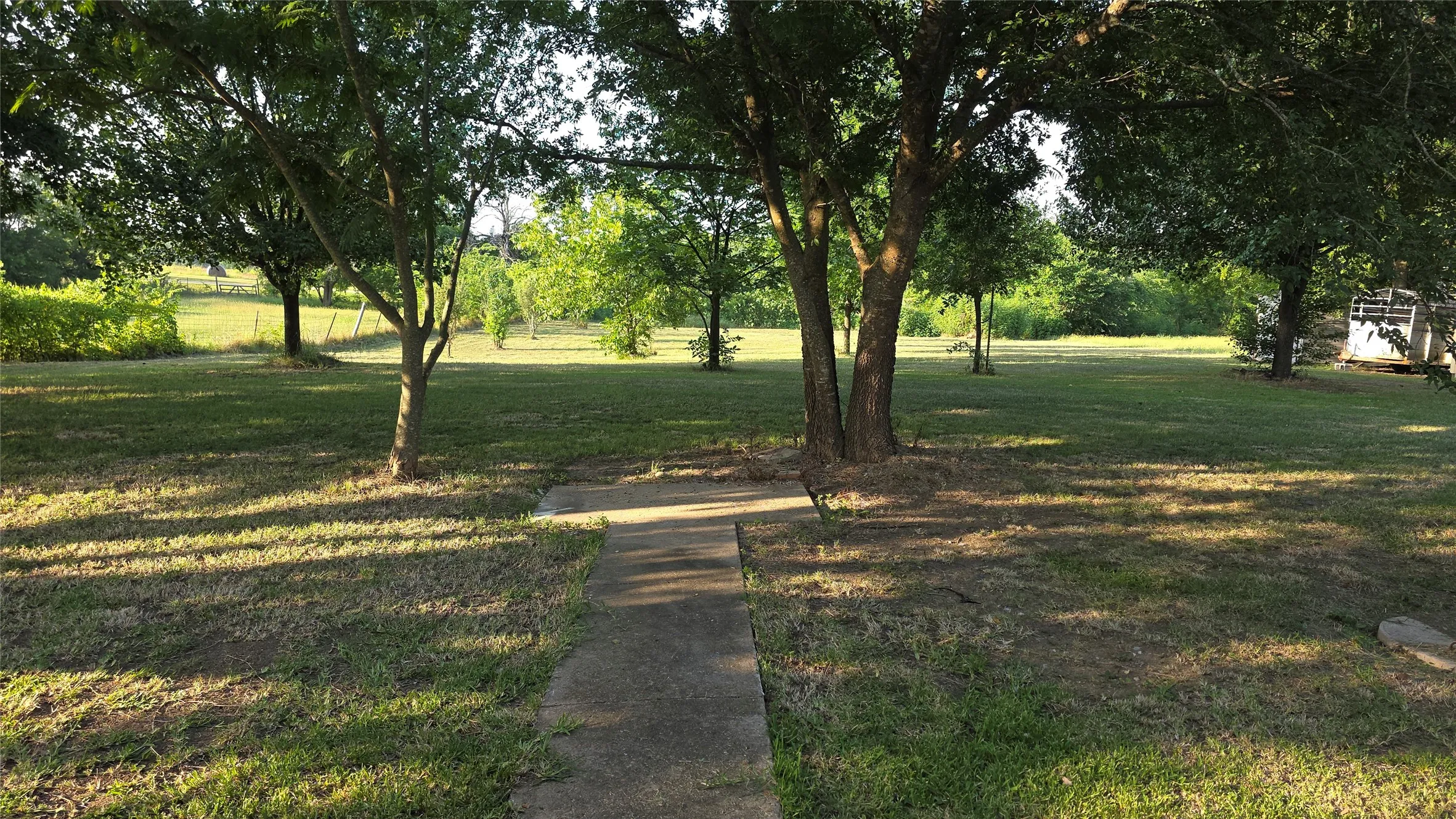 Back yard