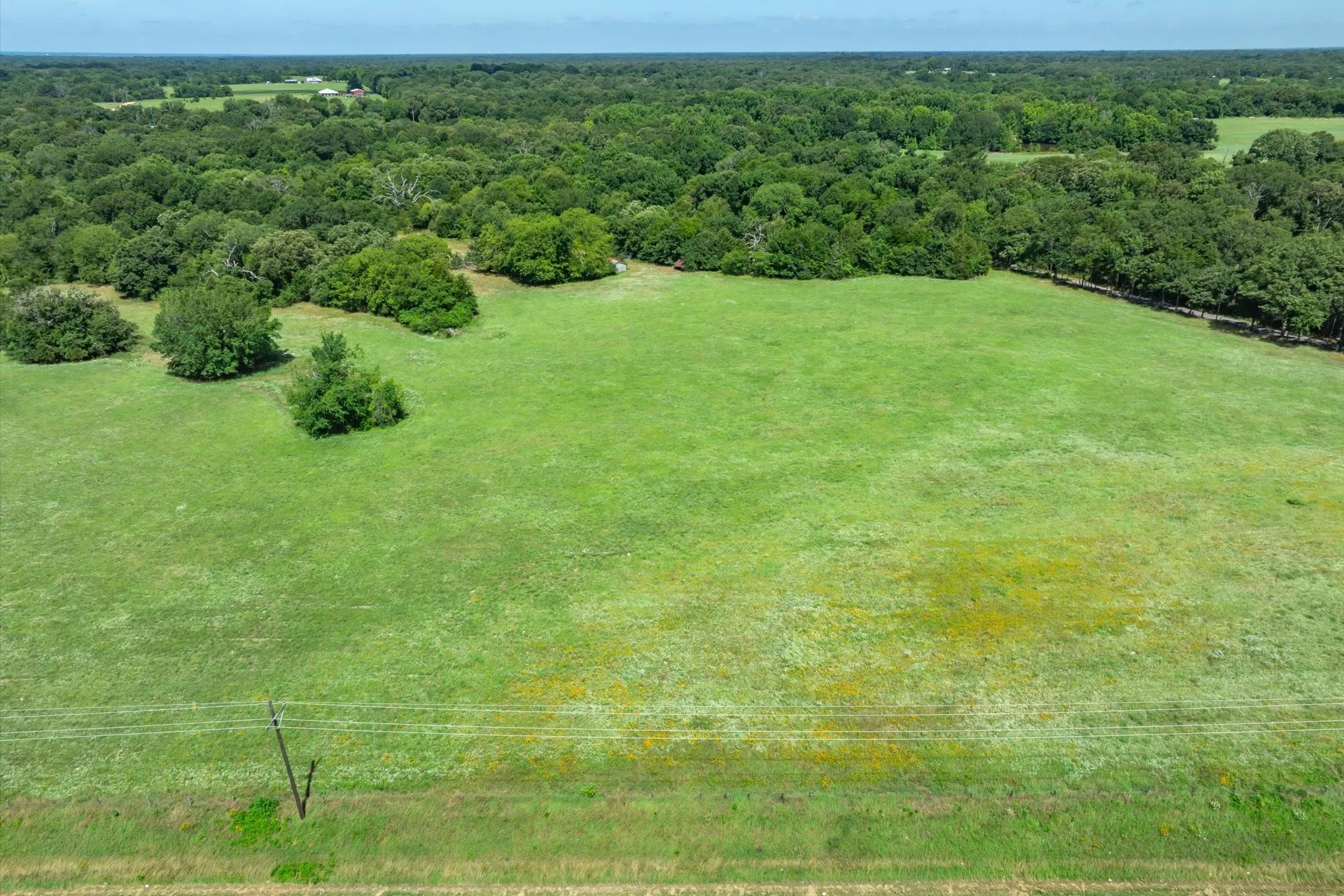 Unimproved Land For Sale in Rains County , Lot 2 State Hwy 19, Emory, Texas 75440, 0, 0, Garage spaces, 0 Sqft, built in 0, Price $213,750, mls#21330579, Real Estate Agent in Emory, Homes For Sale in Rains county, Homes For Sale in Emory, Realtor in Emory Texas, Real Estate Brokerage Independent Realty Texas, Luminita Cordes Realtor