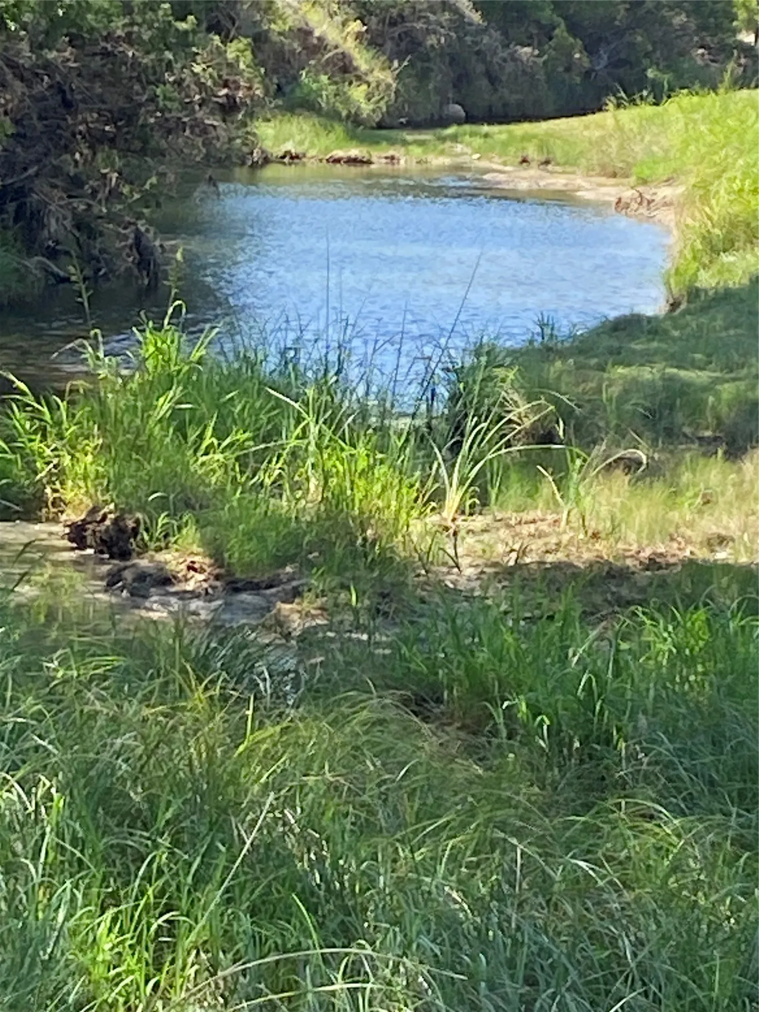 Unimproved Land For Sale in Taylor County , TBD FM, Tuscola, Texas 79562, 0, 0, Garage spaces, 0 Sqft, built in 0, Price $250,000, mls#21340402, Real Estate Agent in Tuscola, Homes For Sale in Taylor county, Homes For Sale in Tuscola, Realtor in Tuscola Texas, Real Estate Brokerage Independent Realty Texas, Luminita Cordes Realtor