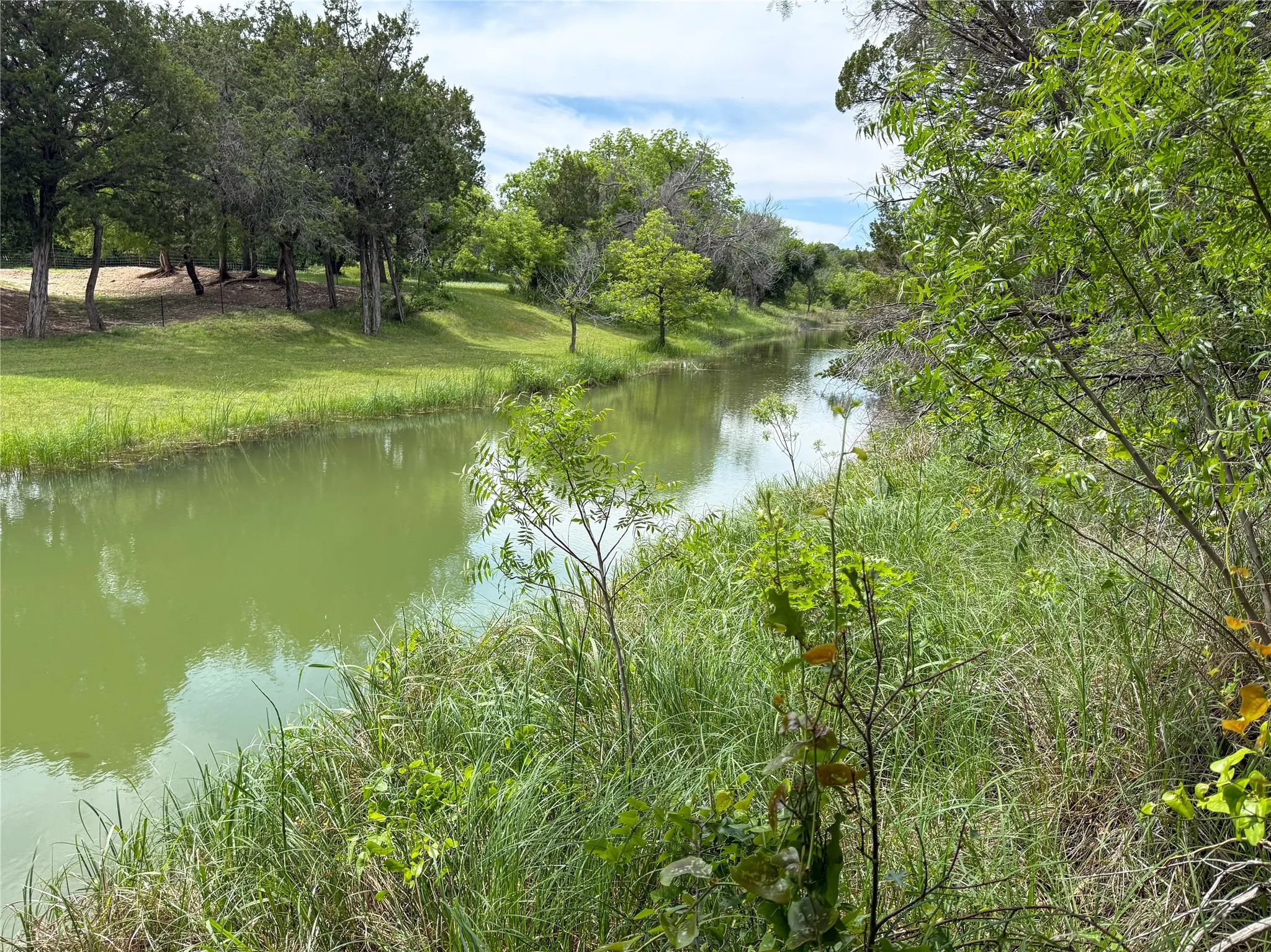Unimproved Land For Sale in Taylor County , TBD FM, Tuscola, Texas 79562, 0, 0, Garage spaces, 0 Sqft, built in 0, Price $250,000, mls#21340402, Real Estate Agent in Tuscola, Homes For Sale in Taylor county, Homes For Sale in Tuscola, Realtor in Tuscola Texas, Real Estate Brokerage Independent Realty Texas, Luminita Cordes Realtor