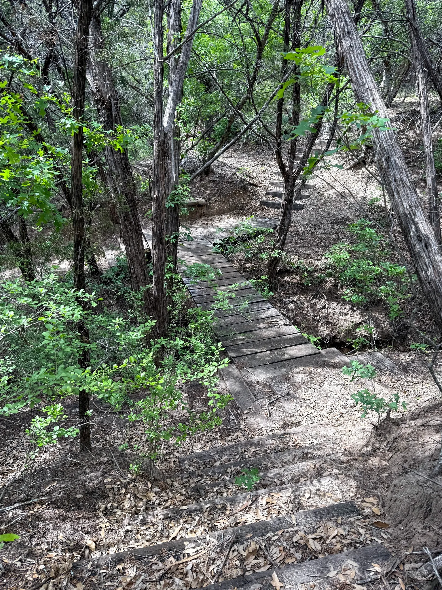 Unimproved Land For Sale in Taylor County , TBD FM, Tuscola, Texas 79562, 0, 0, Garage spaces, 0 Sqft, built in 0, Price $250,000, mls#21340402, Real Estate Agent in Tuscola, Homes For Sale in Taylor county, Homes For Sale in Tuscola, Realtor in Tuscola Texas, Real Estate Brokerage Independent Realty Texas, Luminita Cordes Realtor