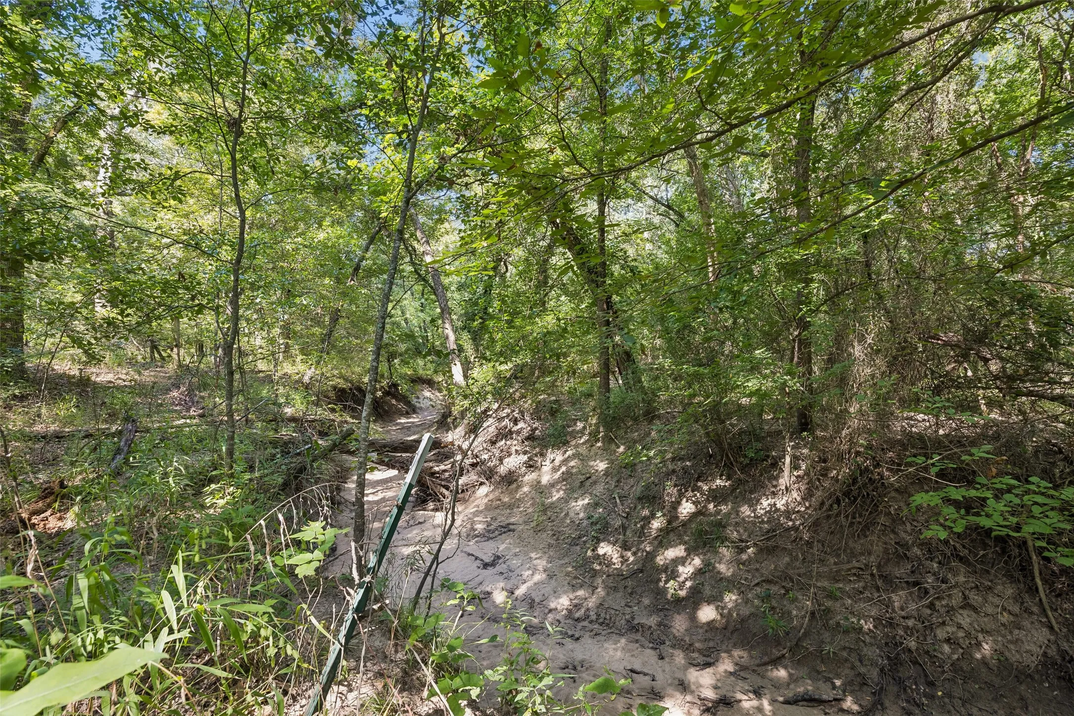 Wooded acreage featuring a creek and mature trees