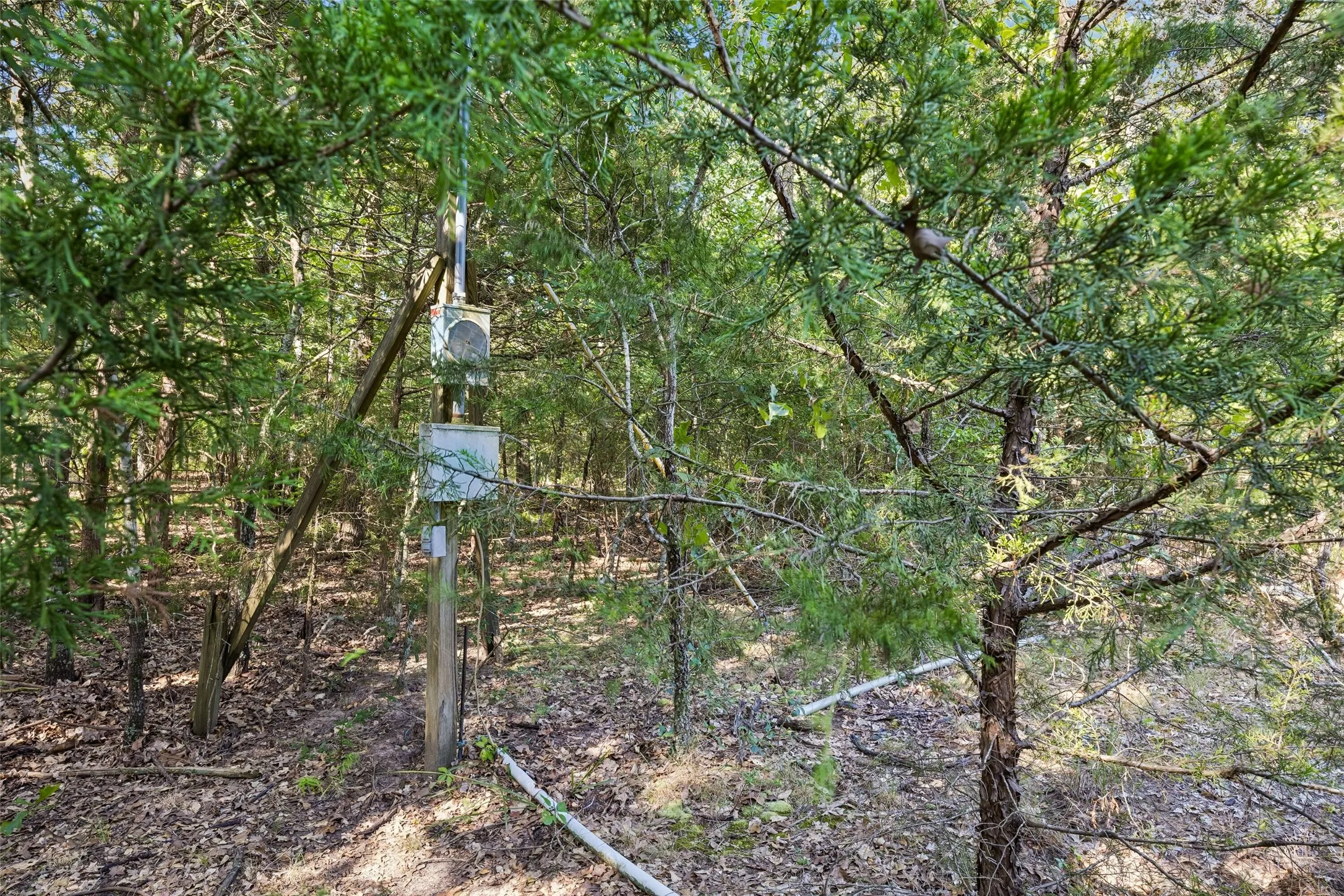 Electric pole near RV site