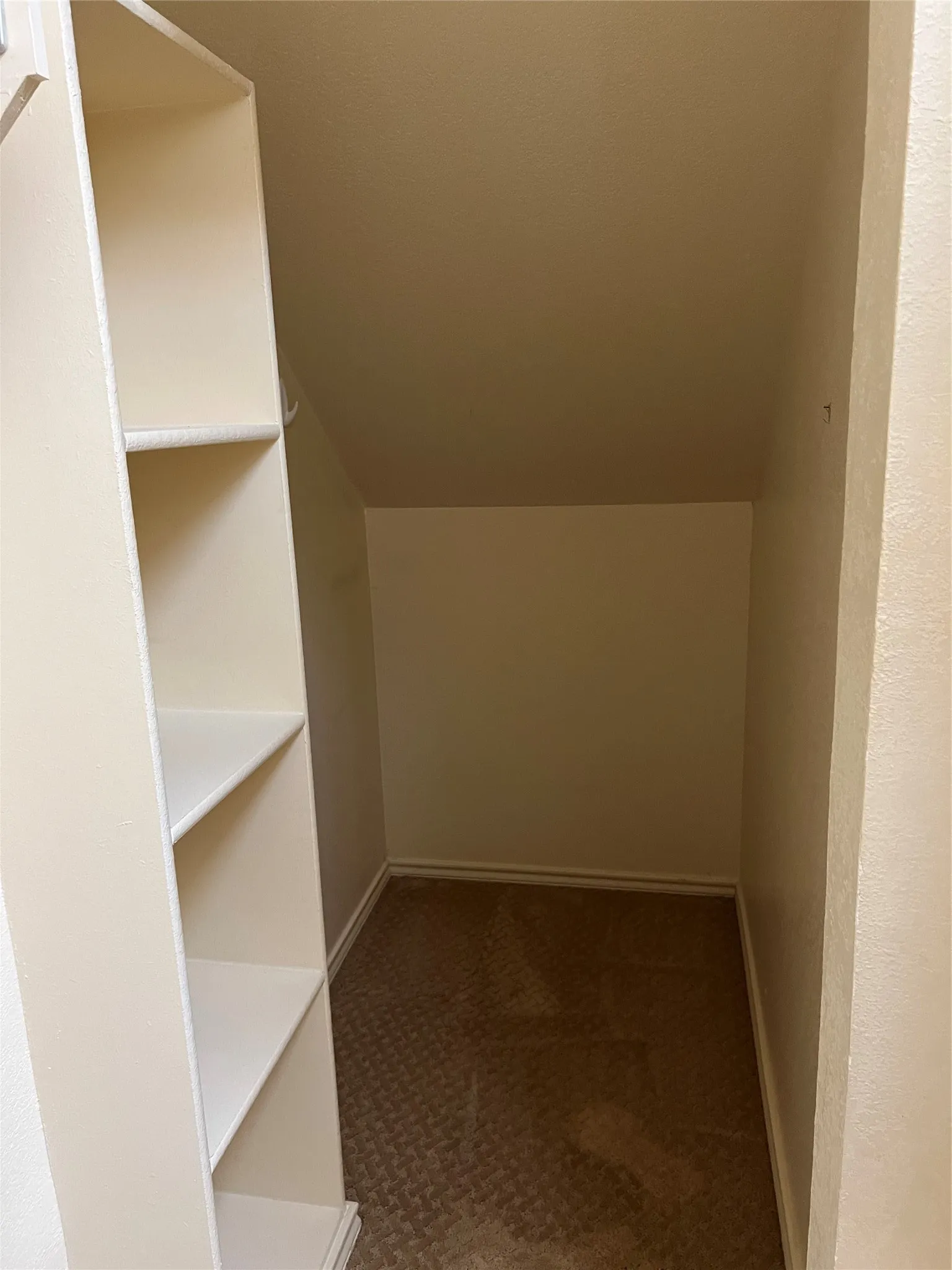 Extra storage area in walk-in closet