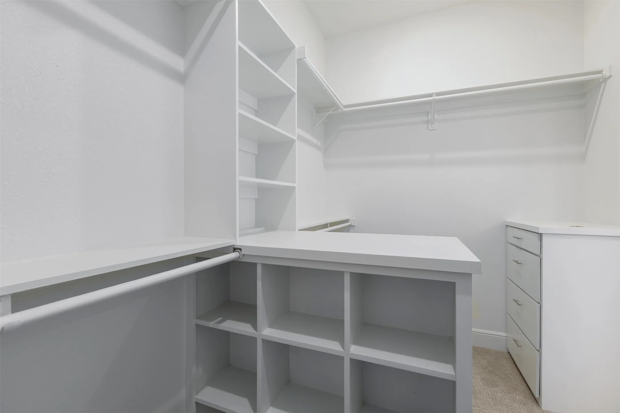 Walk in closet with light carpet