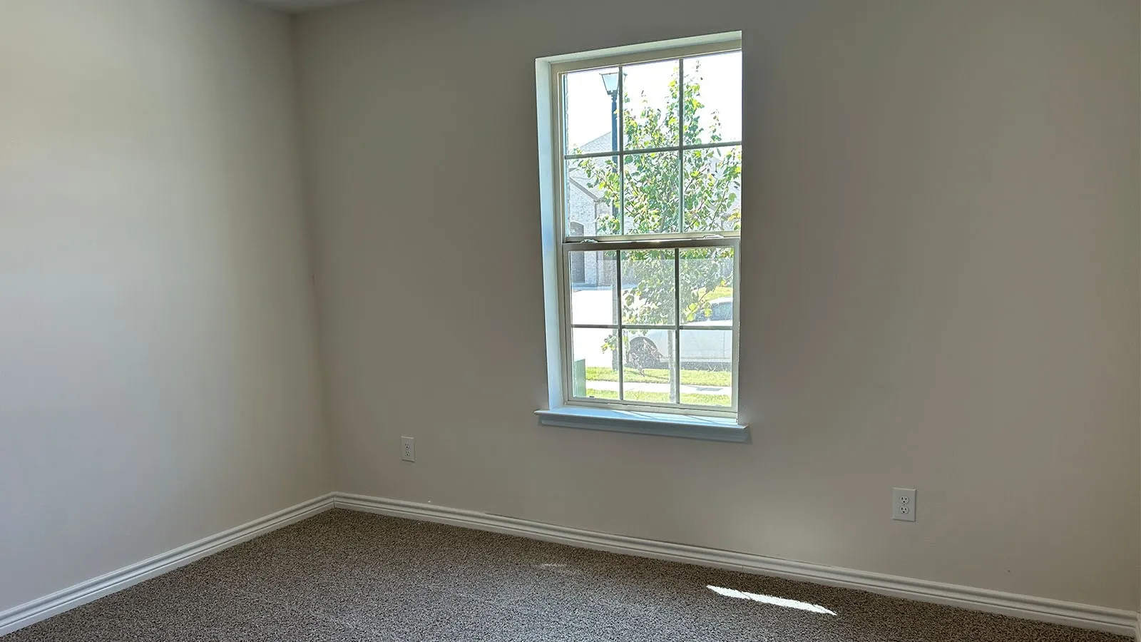 Carpeted flooring, neutral wall color, white trim, and a double-hung window