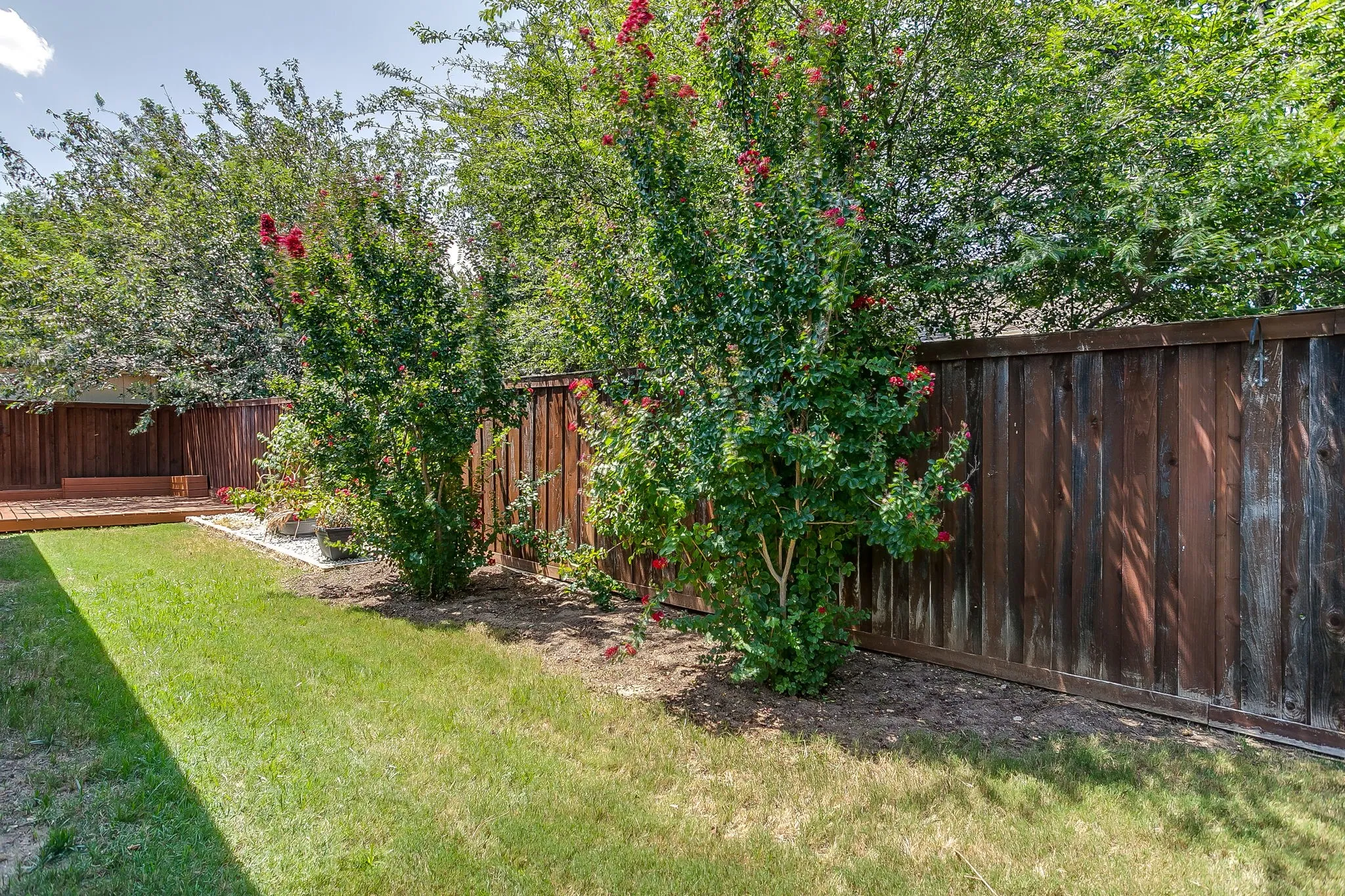 Side backyard