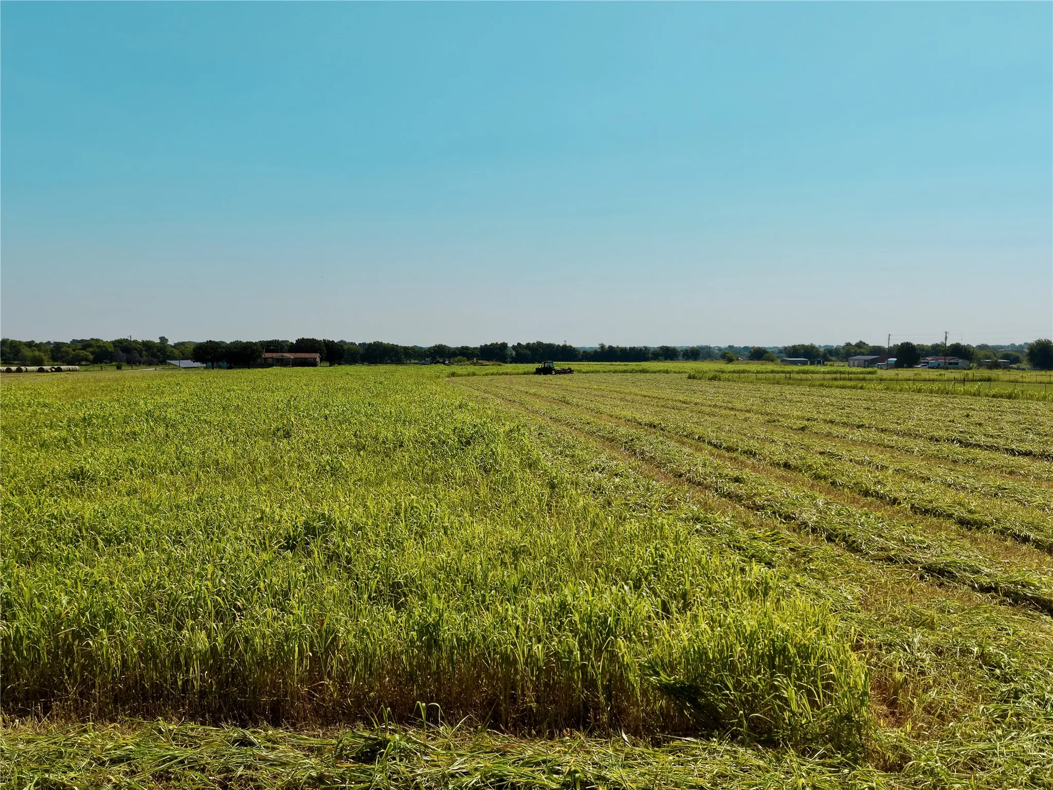 Unimproved Land For Sale in Johnson County , 10319 County Road 418, Grandview, Texas 76050, 0, 0, Garage spaces, 0 Sqft, built in 0, mls#21340512, Real Estate Agent in Grandview, Homes For Sale in Johnson county, Homes For Sale in Grandview, Realtor in Grandview Texas, Real Estate Brokerage Independent Realty Texas, Luminita Cordes Realtor