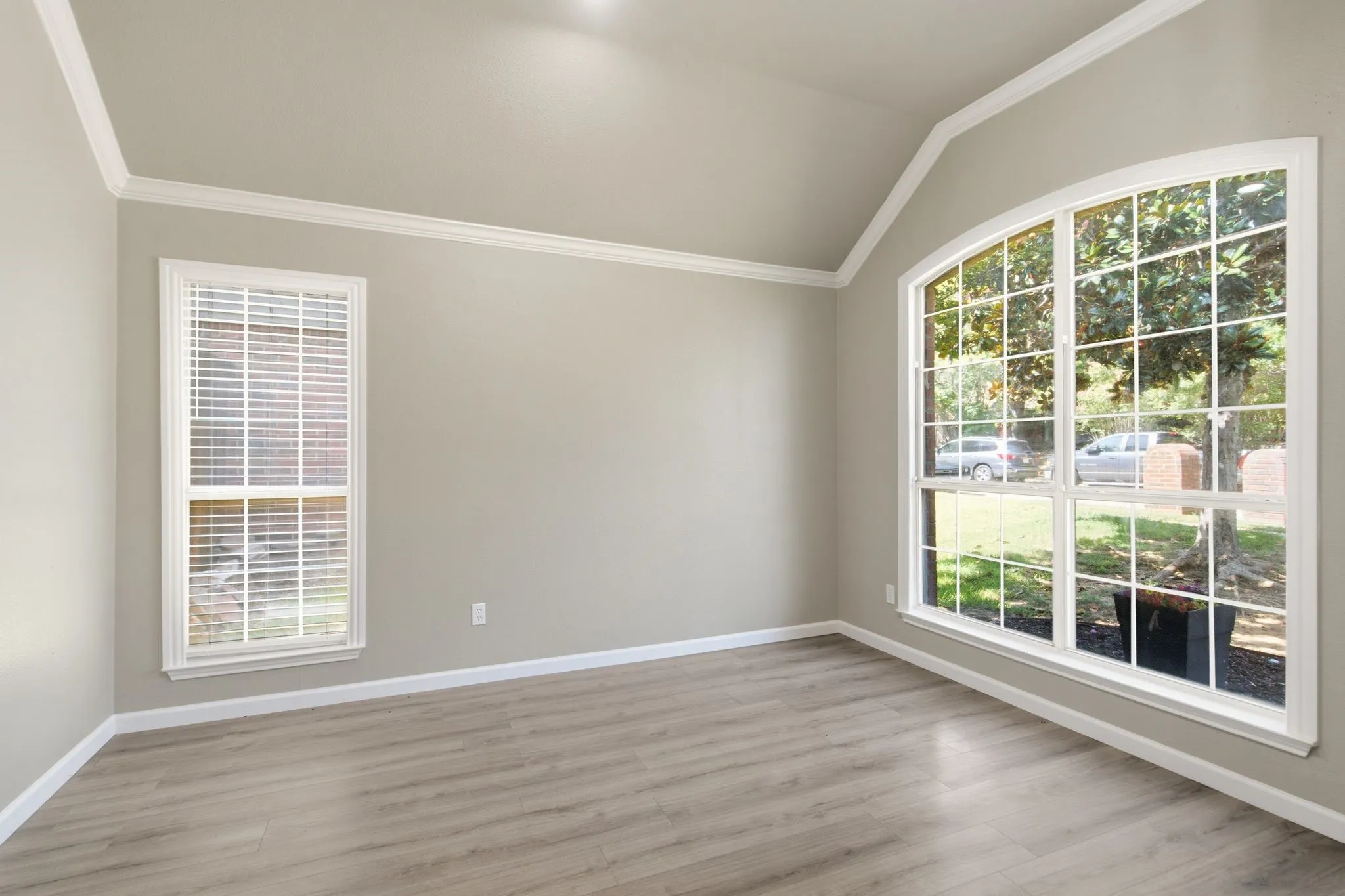 Living/Flex Area