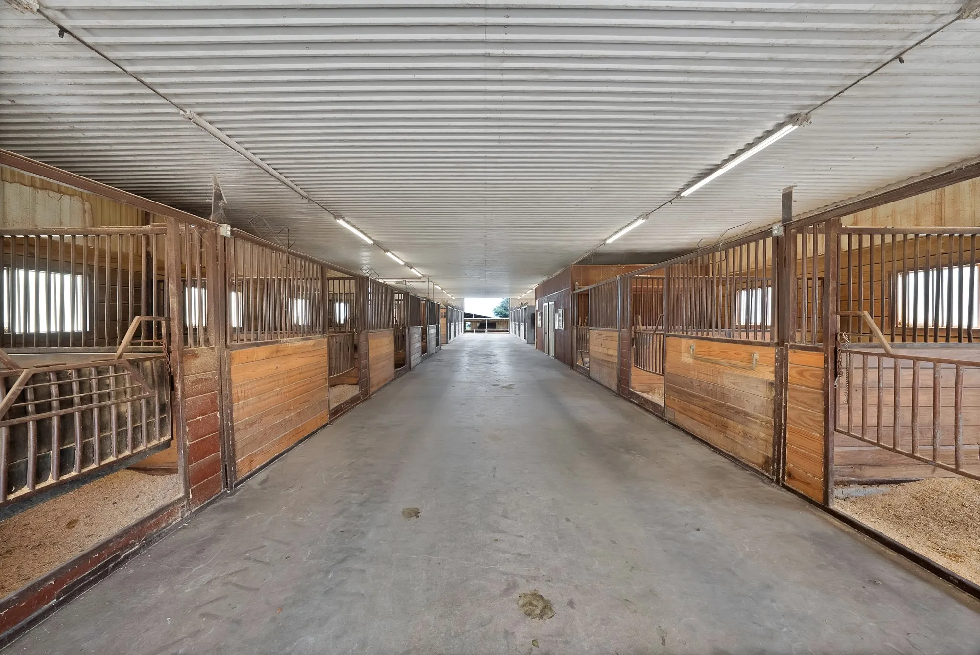 Farm For Sale in Grayson County , 15135 E Fm 922, Tioga, Texas 76271, 3 Bedroom, 2 Bathroom, 3 Garage spaces, 3,059 Sqft, built in 1999, mls#21325933, Real Estate Agent in Tioga, Homes For Sale in Grayson county, Homes For Sale in Tioga, Realtor in Tioga Texas, Real Estate Brokerage Independent Realty Texas, Luminita Cordes Realtor