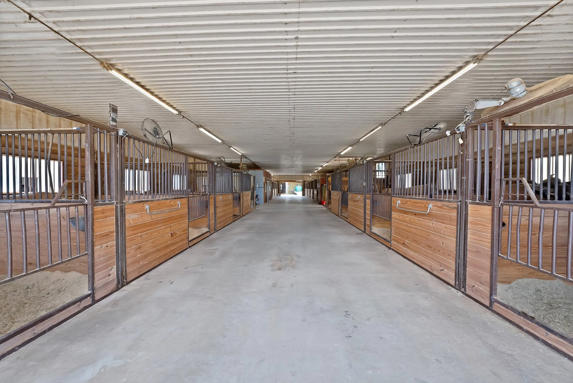 Farm For Sale in Grayson County , 15135 E Fm 922, Tioga, Texas 76271, 3 Bedroom, 2 Bathroom, 3 Garage spaces, 3,059 Sqft, built in 1999, mls#21325933, Real Estate Agent in Tioga, Homes For Sale in Grayson county, Homes For Sale in Tioga, Realtor in Tioga Texas, Real Estate Brokerage Independent Realty Texas, Luminita Cordes Realtor