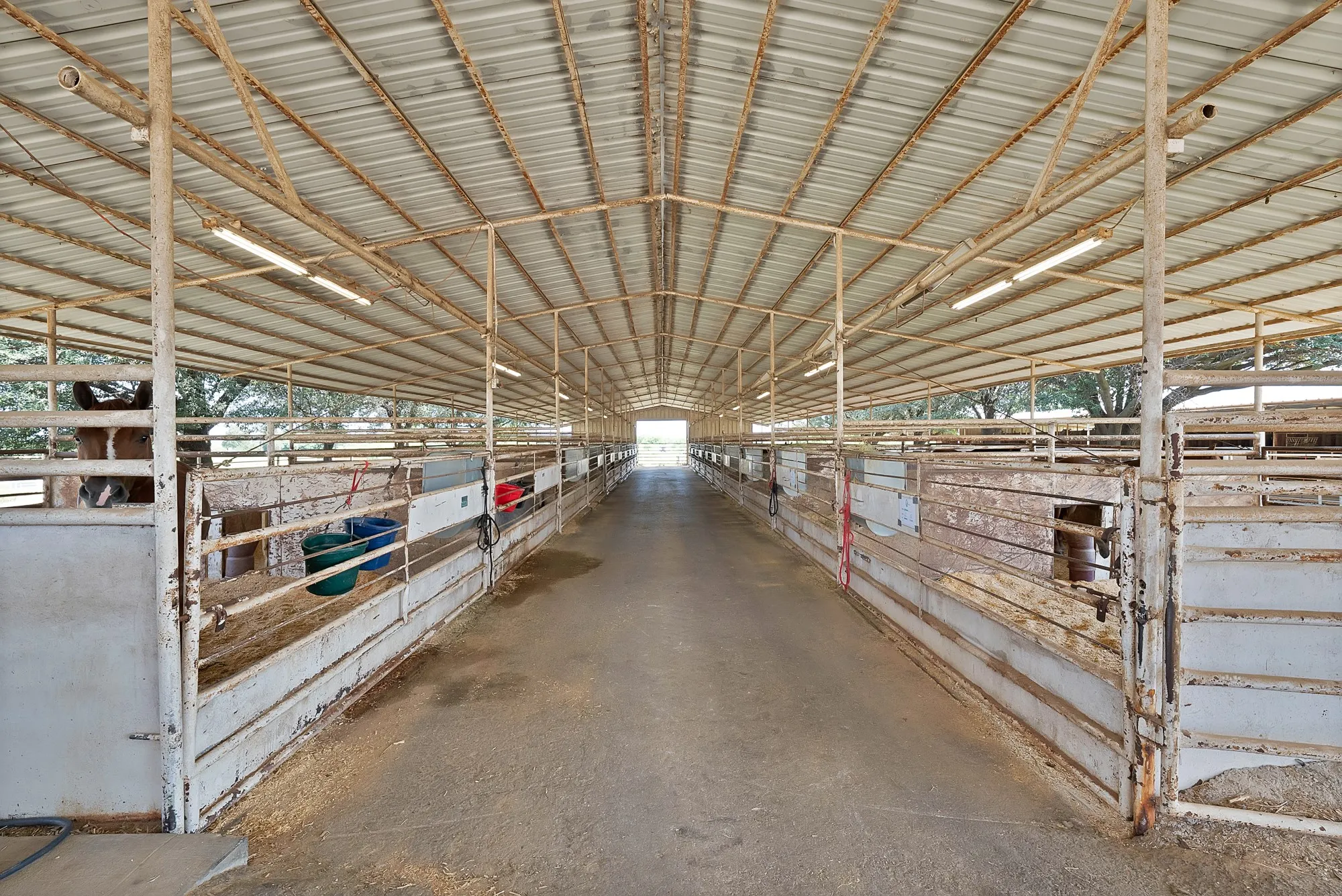 Farm For Sale in Grayson County , 15135 E Fm 922, Tioga, Texas 76271, 3 Bedroom, 2 Bathroom, 3 Garage spaces, 3,059 Sqft, built in 1999, mls#21325933, Real Estate Agent in Tioga, Homes For Sale in Grayson county, Homes For Sale in Tioga, Realtor in Tioga Texas, Real Estate Brokerage Independent Realty Texas, Luminita Cordes Realtor