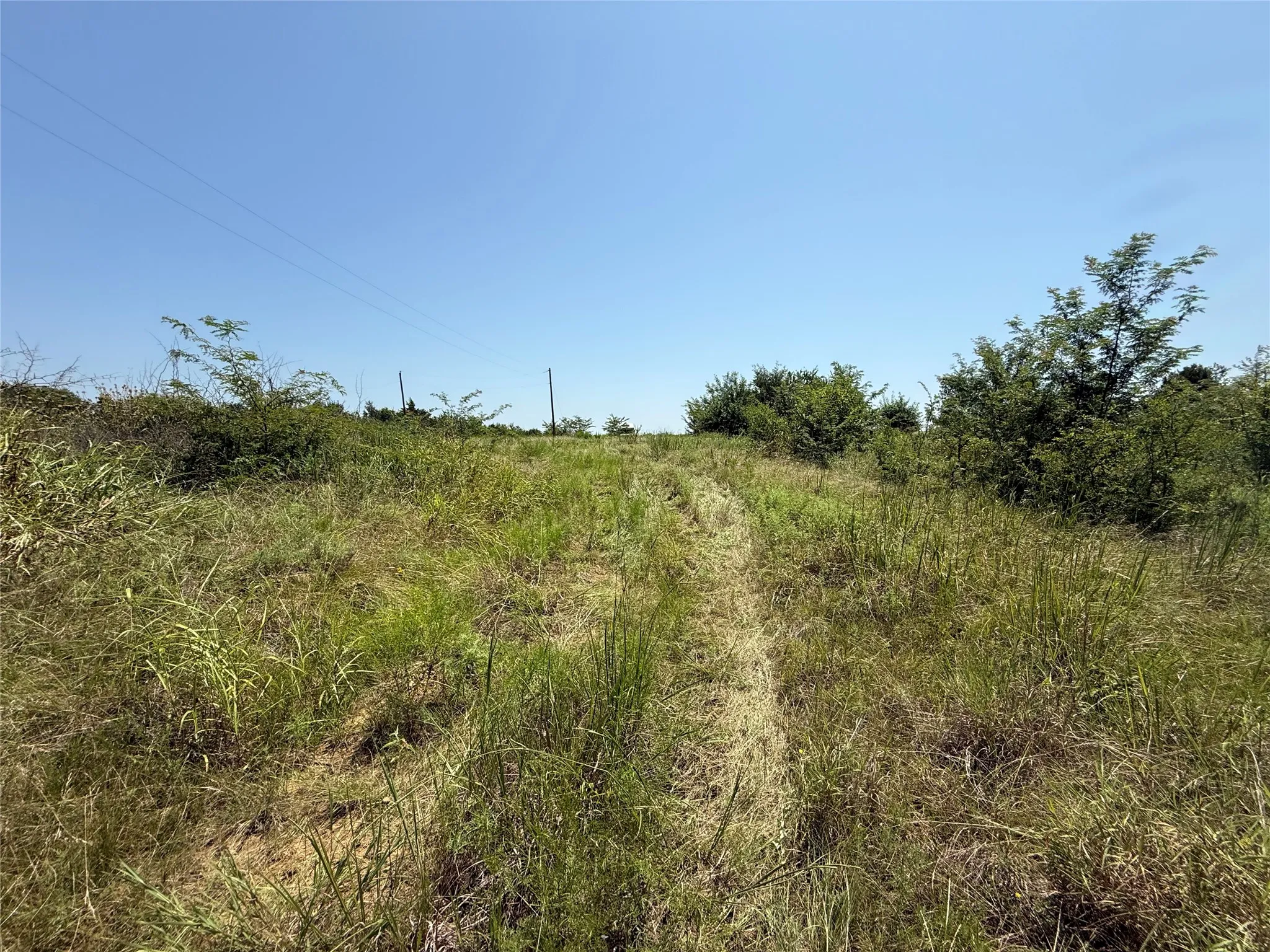 Unimproved Land For Sale in Hopkins County , 2781 County Road 4581, Sulphur Springs, Texas 75482, 0, 0, Garage spaces, 0 Sqft, built in 0, mls#21337053, Real Estate Agent in Sulphur Springs, Homes For Sale in Hopkins county, Homes For Sale in Sulphur Springs, Realtor in Sulphur Springs Texas, Real Estate Brokerage Independent Realty Texas, Luminita Cordes Realtor