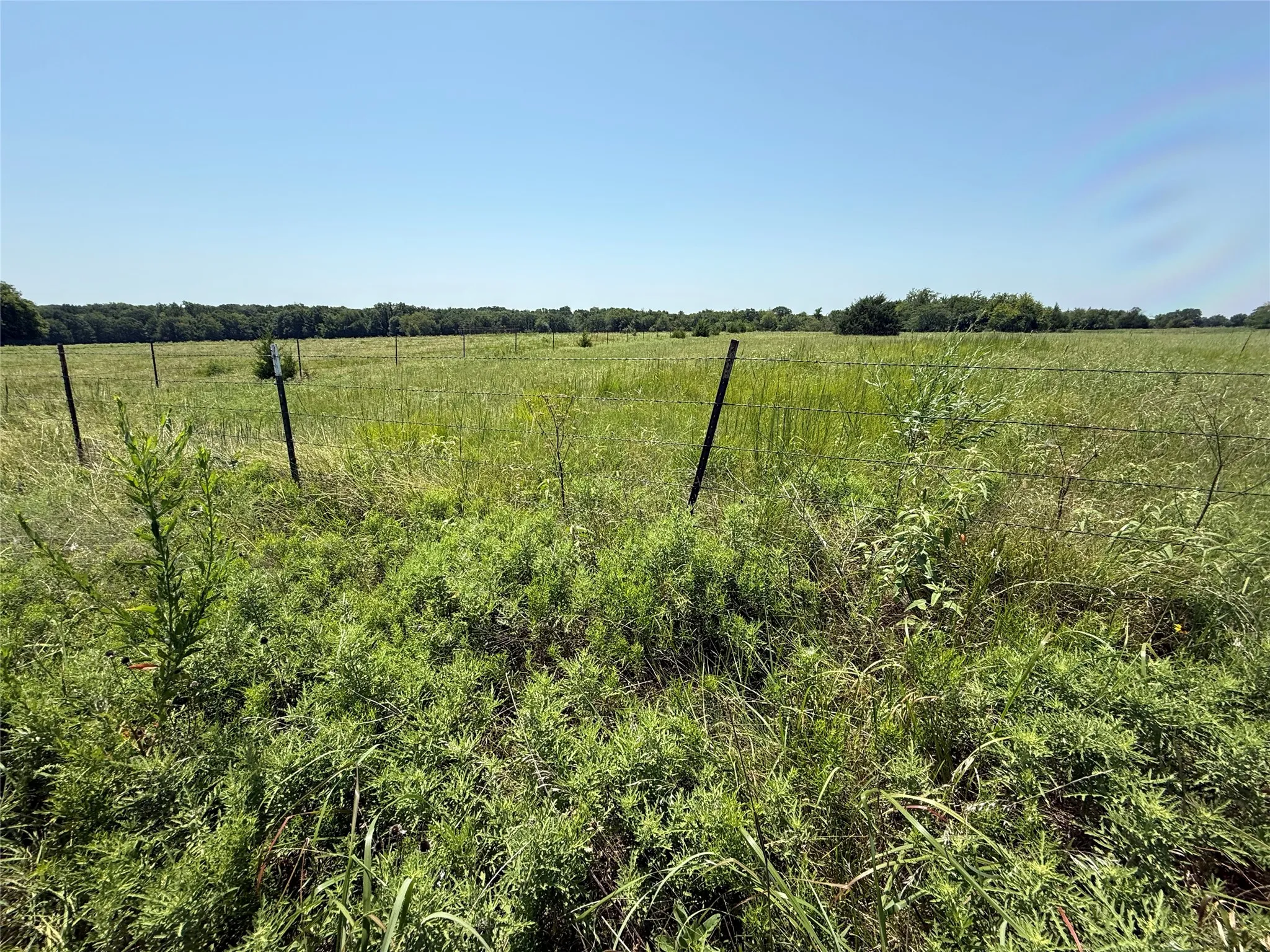 Unimproved Land For Sale in Hopkins County , 2781 County Road 4581, Sulphur Springs, Texas 75482, 0, 0, Garage spaces, 0 Sqft, built in 0, mls#21337053, Real Estate Agent in Sulphur Springs, Homes For Sale in Hopkins county, Homes For Sale in Sulphur Springs, Realtor in Sulphur Springs Texas, Real Estate Brokerage Independent Realty Texas, Luminita Cordes Realtor