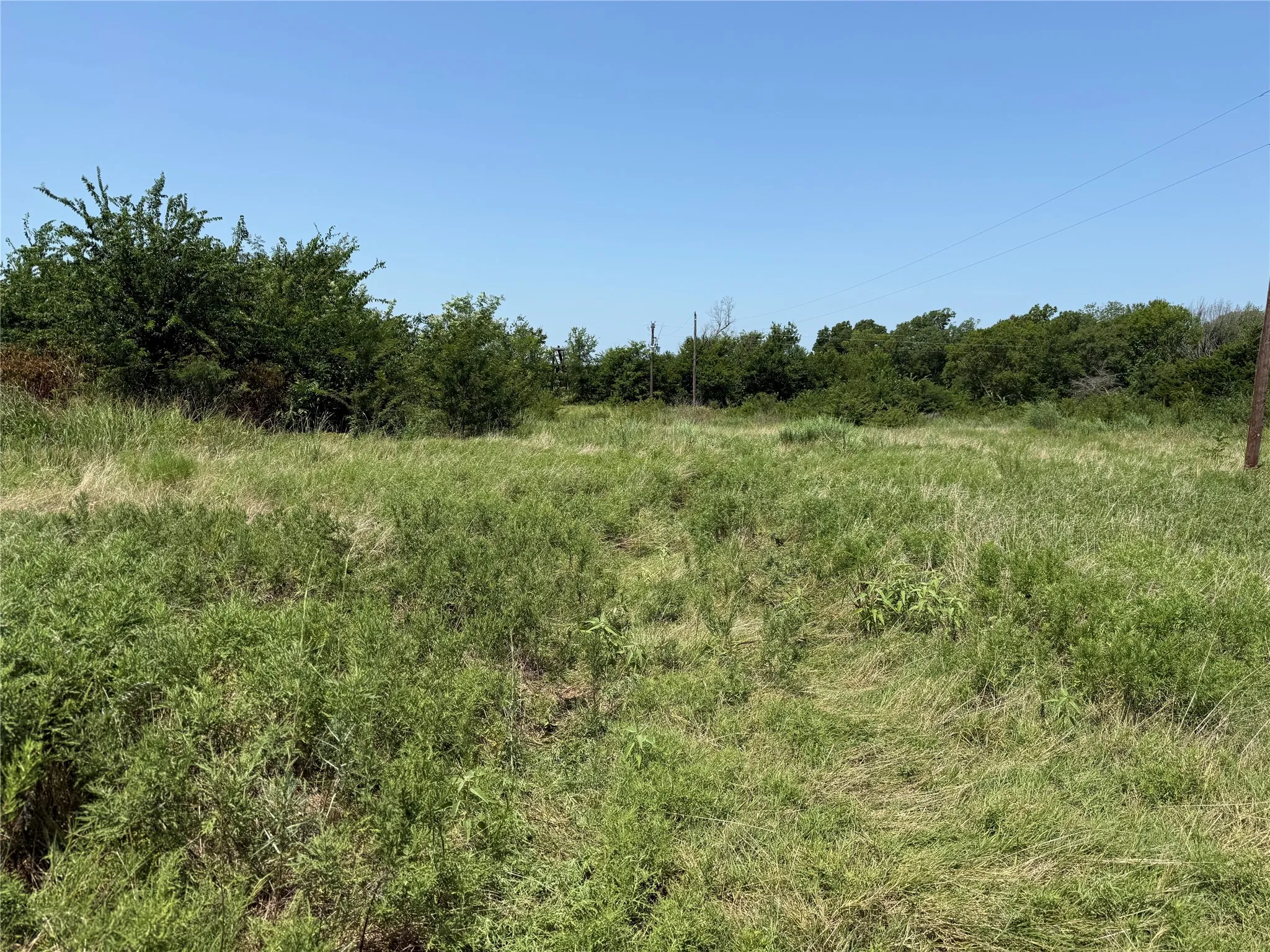 Unimproved Land For Sale in Hopkins County , 2781 County Road 4581, Sulphur Springs, Texas 75482, 0, 0, Garage spaces, 0 Sqft, built in 0, mls#21337053, Real Estate Agent in Sulphur Springs, Homes For Sale in Hopkins county, Homes For Sale in Sulphur Springs, Realtor in Sulphur Springs Texas, Real Estate Brokerage Independent Realty Texas, Luminita Cordes Realtor