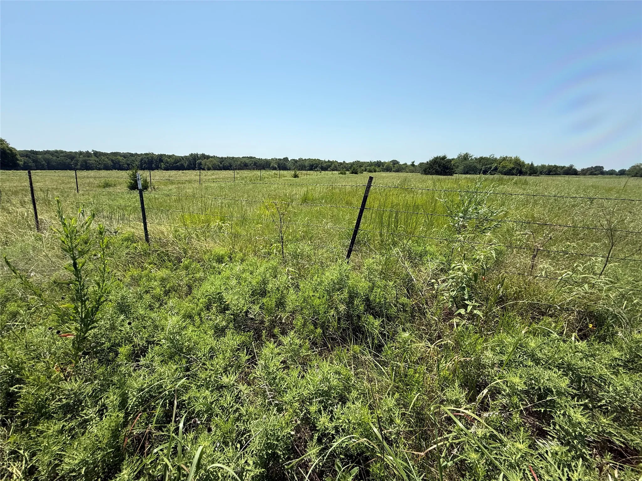 Unimproved Land For Sale in Hopkins County , 2781 County Road 4581, Sulphur Springs, Texas 75482, 0, 0, Garage spaces, 0 Sqft, built in 0, mls#21337053, Real Estate Agent in Sulphur Springs, Homes For Sale in Hopkins county, Homes For Sale in Sulphur Springs, Realtor in Sulphur Springs Texas, Real Estate Brokerage Independent Realty Texas, Luminita Cordes Realtor