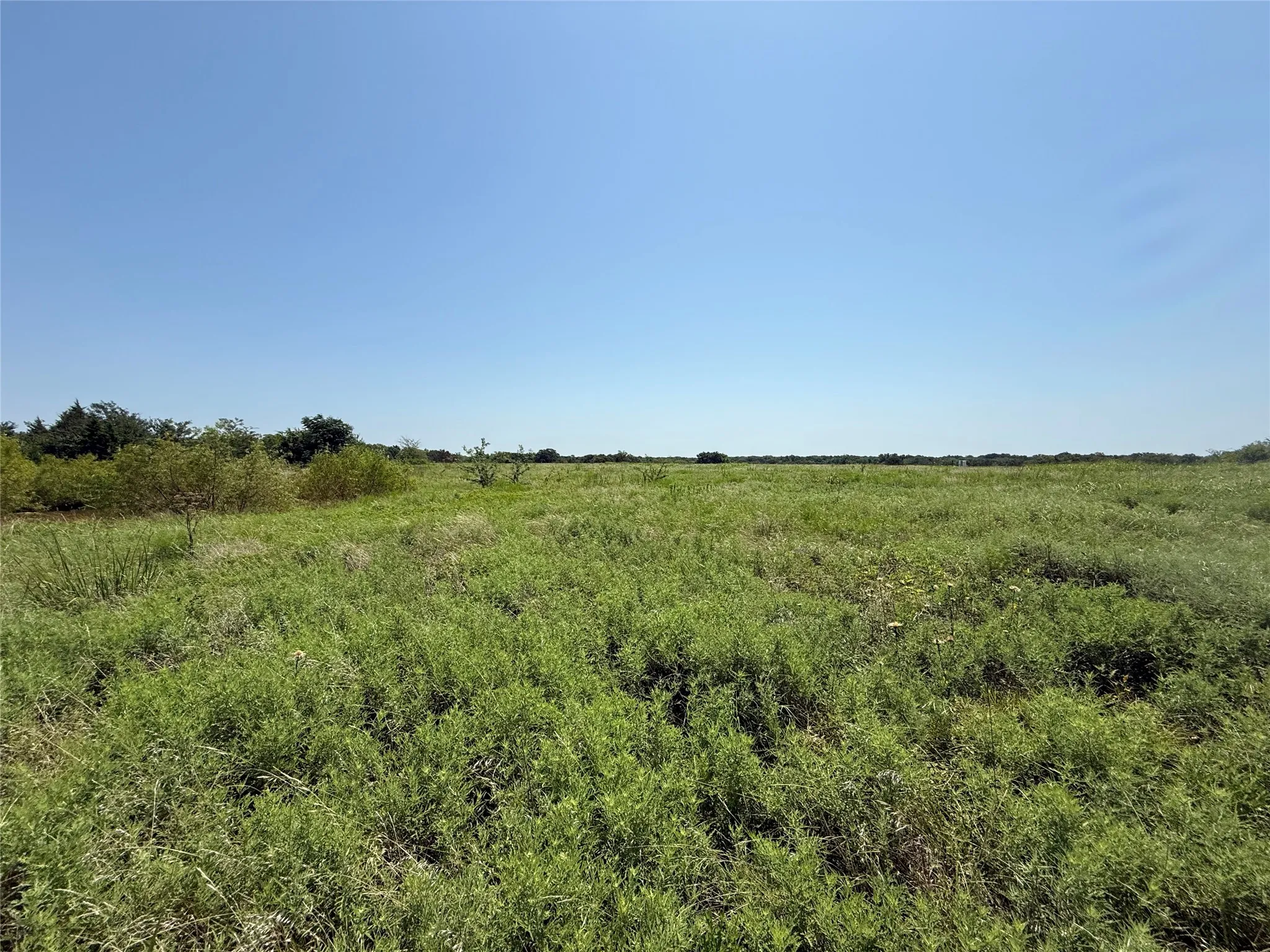 Unimproved Land For Sale in Hopkins County , 2781 County Road 4581, Sulphur Springs, Texas 75482, 0, 0, Garage spaces, 0 Sqft, built in 0, mls#21337053, Real Estate Agent in Sulphur Springs, Homes For Sale in Hopkins county, Homes For Sale in Sulphur Springs, Realtor in Sulphur Springs Texas, Real Estate Brokerage Independent Realty Texas, Luminita Cordes Realtor