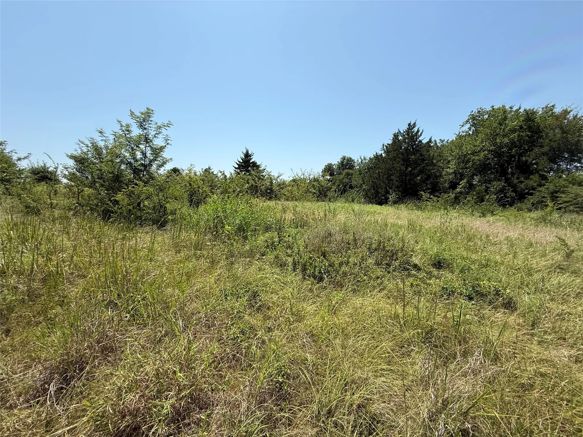 Unimproved Land For Sale in Hopkins County , 2781 County Road 4581, Sulphur Springs, Texas 75482, 0, 0, Garage spaces, 0 Sqft, built in 0, mls#21337053, Real Estate Agent in Sulphur Springs, Homes For Sale in Hopkins county, Homes For Sale in Sulphur Springs, Realtor in Sulphur Springs Texas, Real Estate Brokerage Independent Realty Texas, Luminita Cordes Realtor
