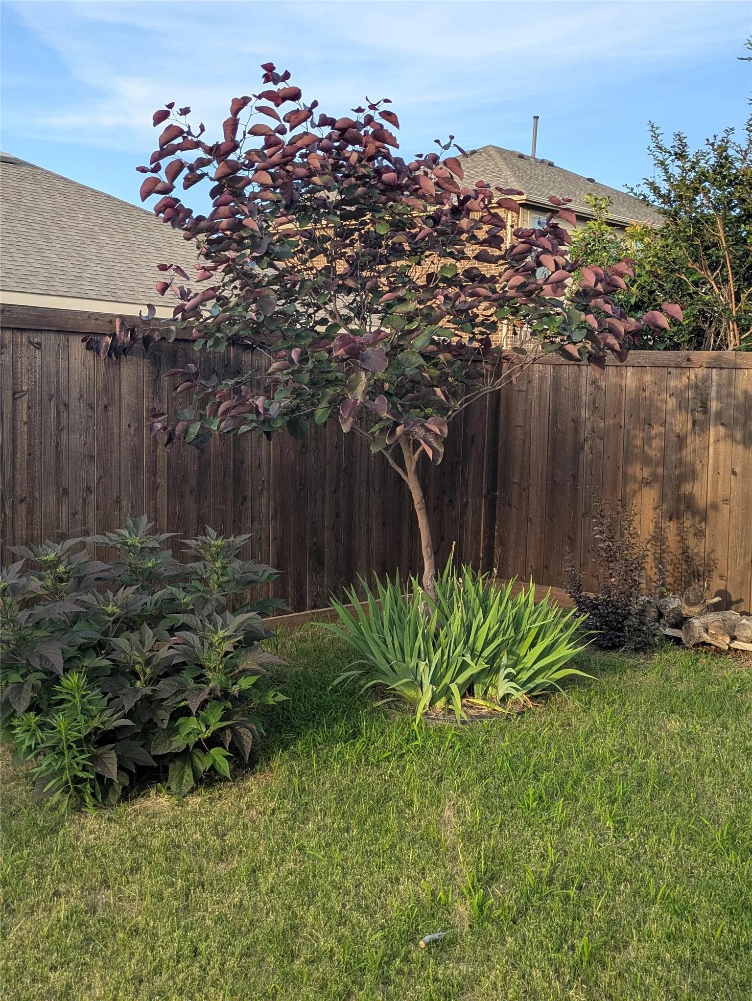 Single Family Residence For Sale in Collin County , 125 Meadow Crest Drive, Princeton, Texas 75407, 3 Bedroom, 2 Bathroom, 2 Garage spaces, 1,873 Sqft, built in 2012, mls#21340063, Real Estate Agent in Princeton, Homes For Sale in Collin county, Homes For Sale in Princeton, Realtor in Princeton Texas, Real Estate Brokerage Independent Realty Texas, Luminita Cordes Realtor