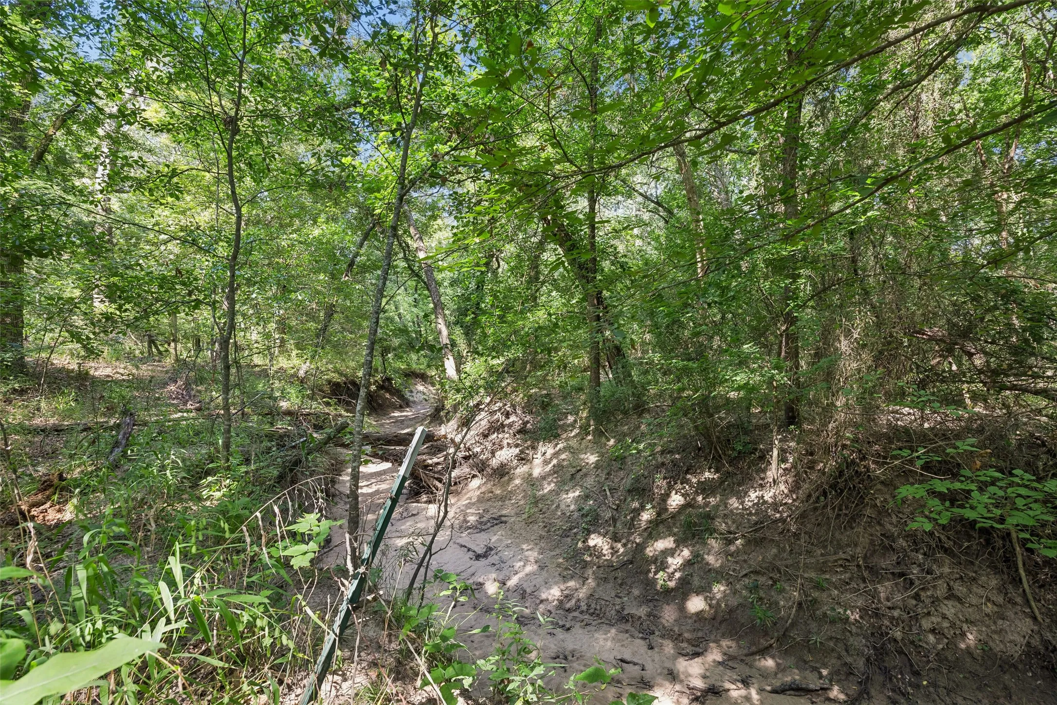 Wooded lot featuring mature trees and creek