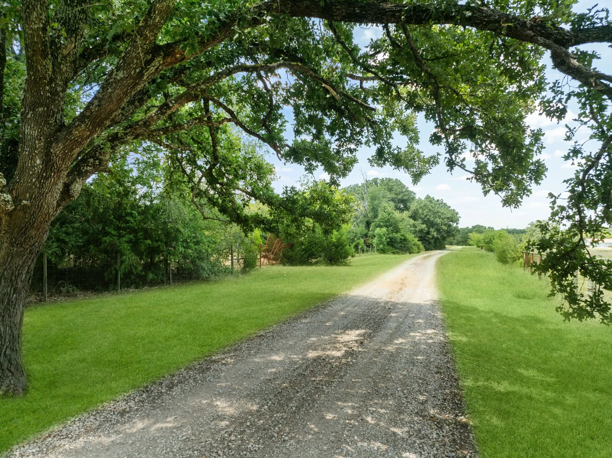 Gravel drive winding through mature trees and lush green lawns