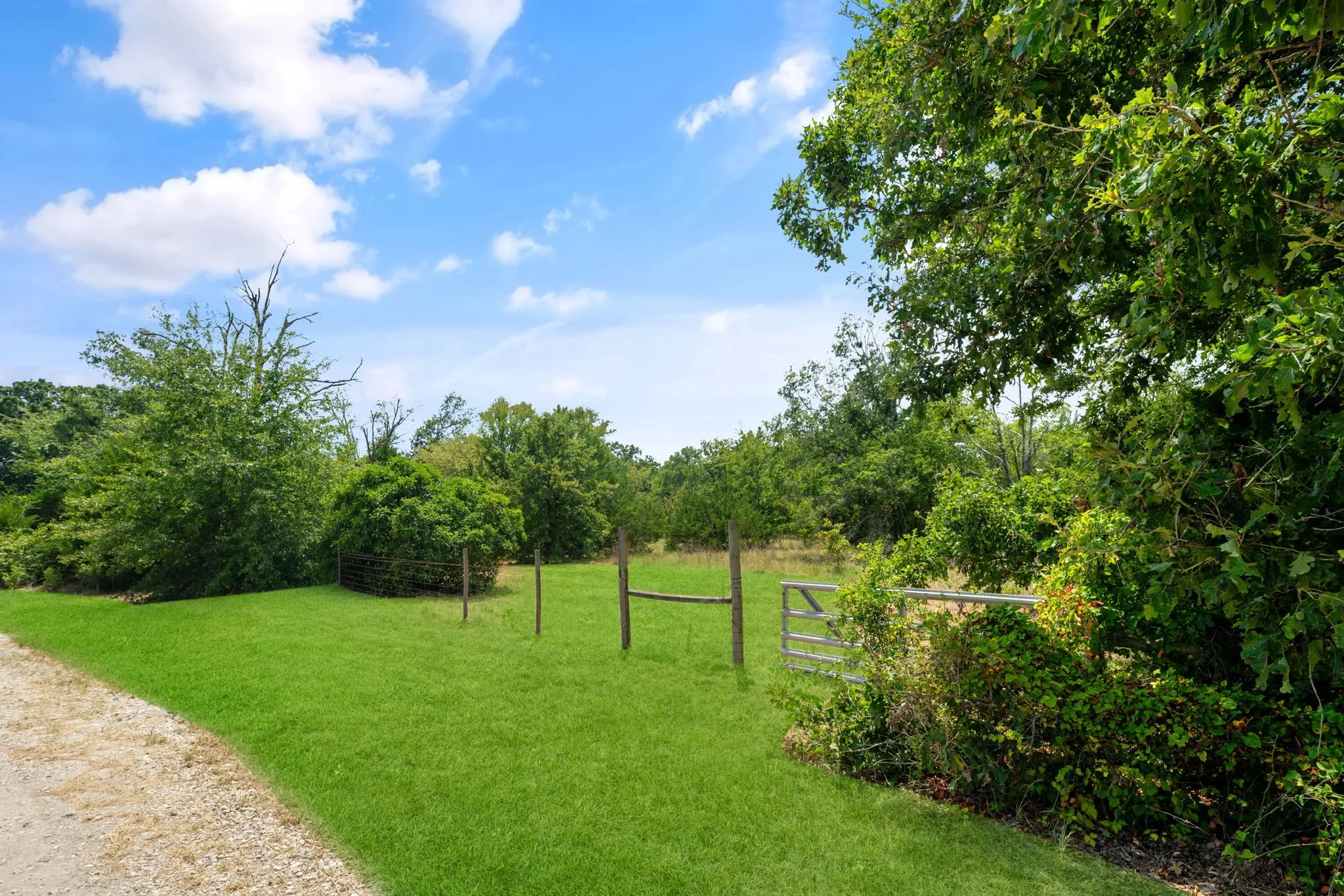 Expansive green space featuring mature trees and a wooden fence