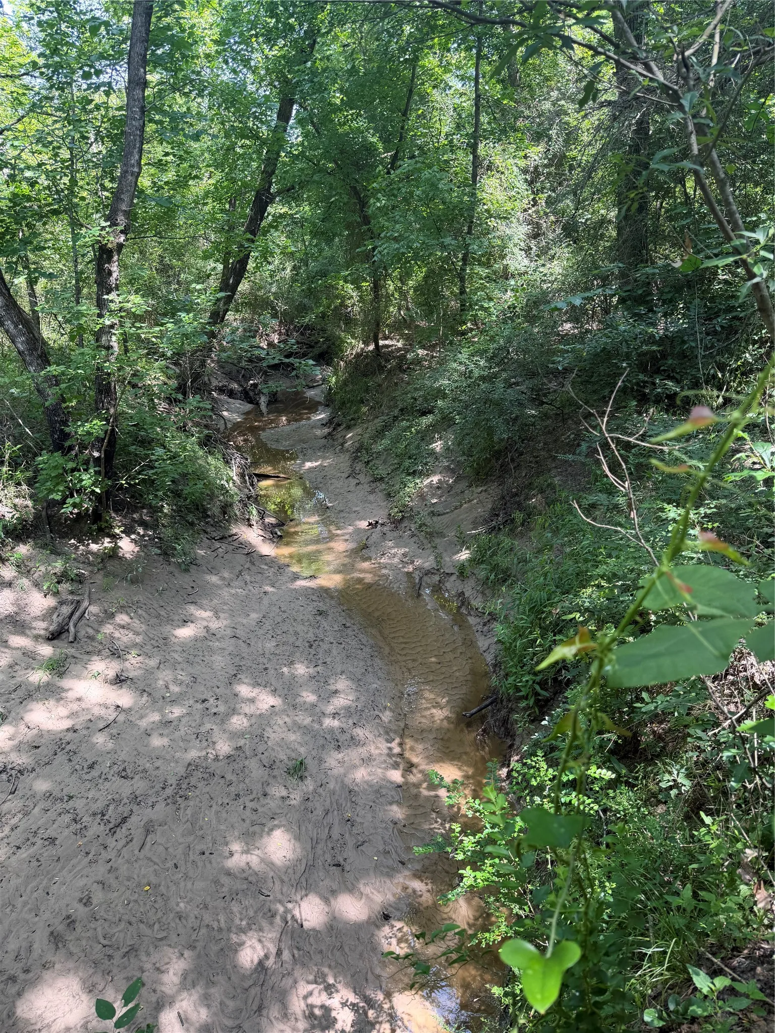 Creek