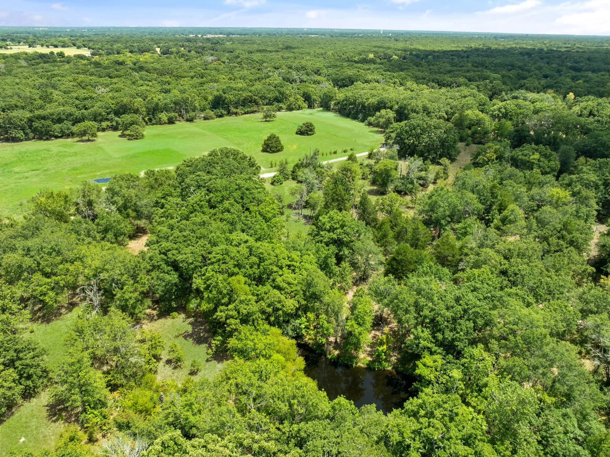 Aerial view of pond