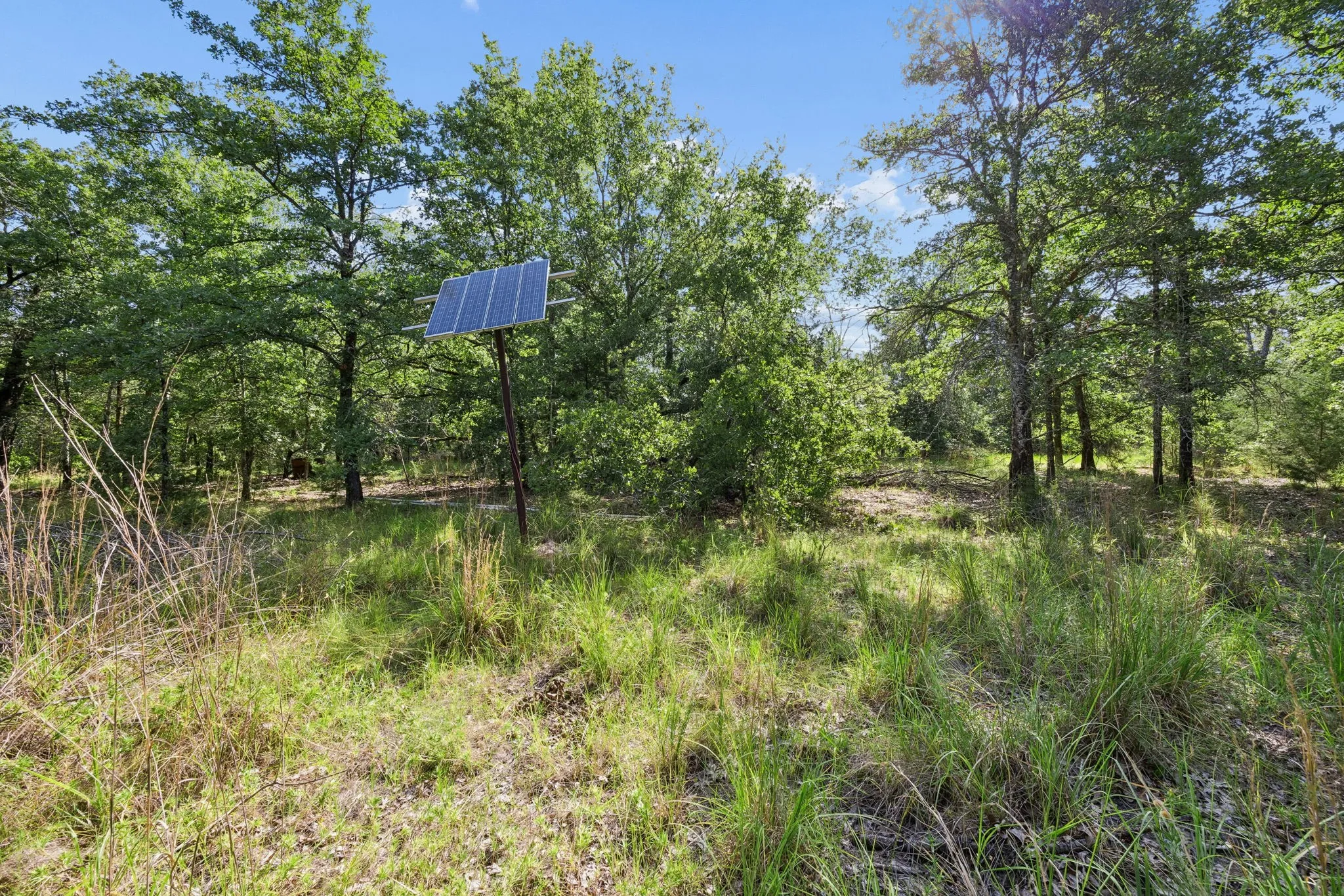 Unimproved Land For Sale in Hunt County , 0 TBD Hare Lane 11 Acre, Greenville, Texas 75402, 0, 0, Garage spaces, 0 Sqft, built in 0, mls#21340068, Real Estate Agent in Greenville, Homes For Sale in Hunt county, Homes For Sale in Greenville, Realtor in Greenville Texas, Real Estate Brokerage Independent Realty Texas, Luminita Cordes Realtor