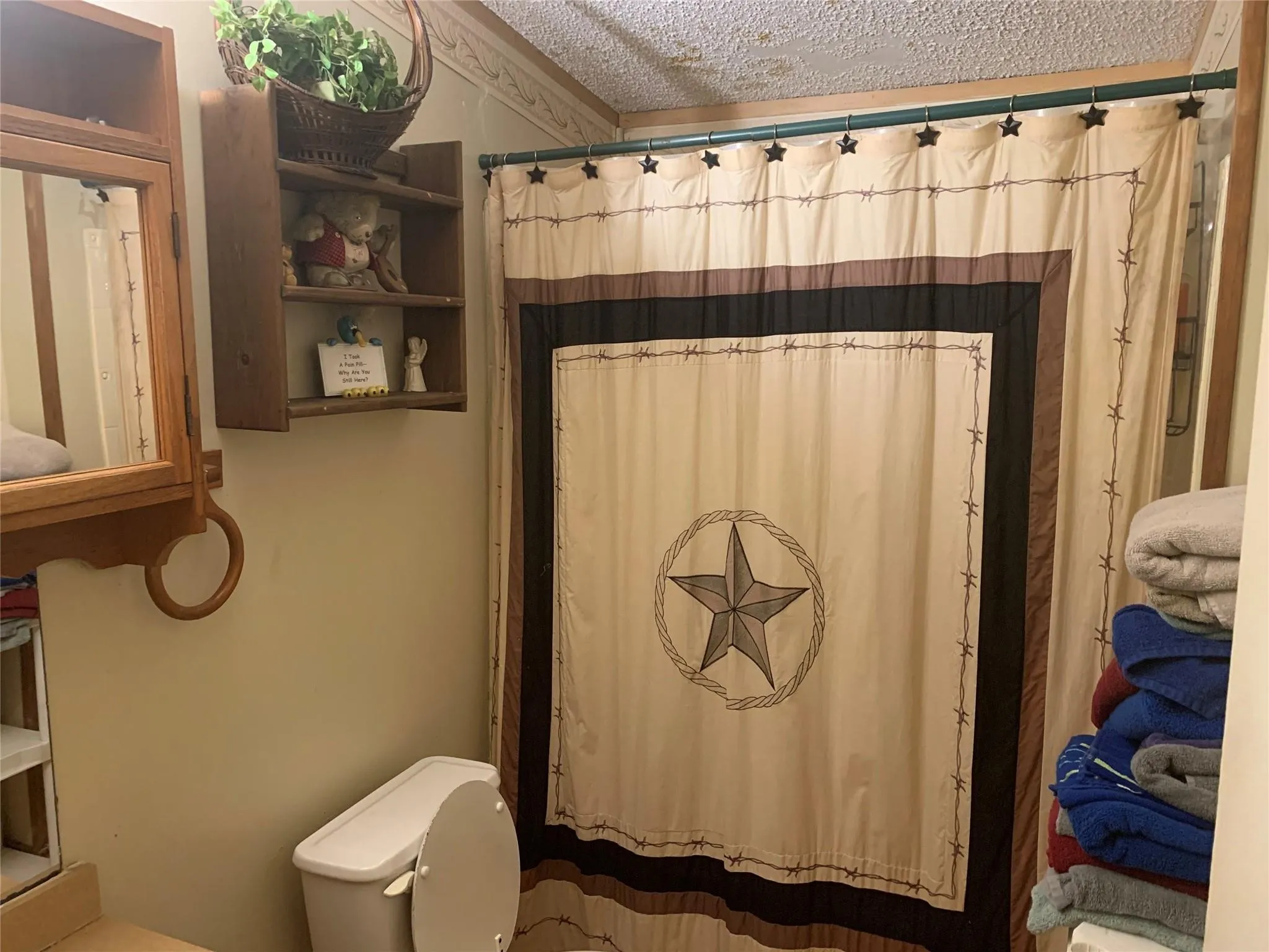 Shower enclosure with a decorative curtain