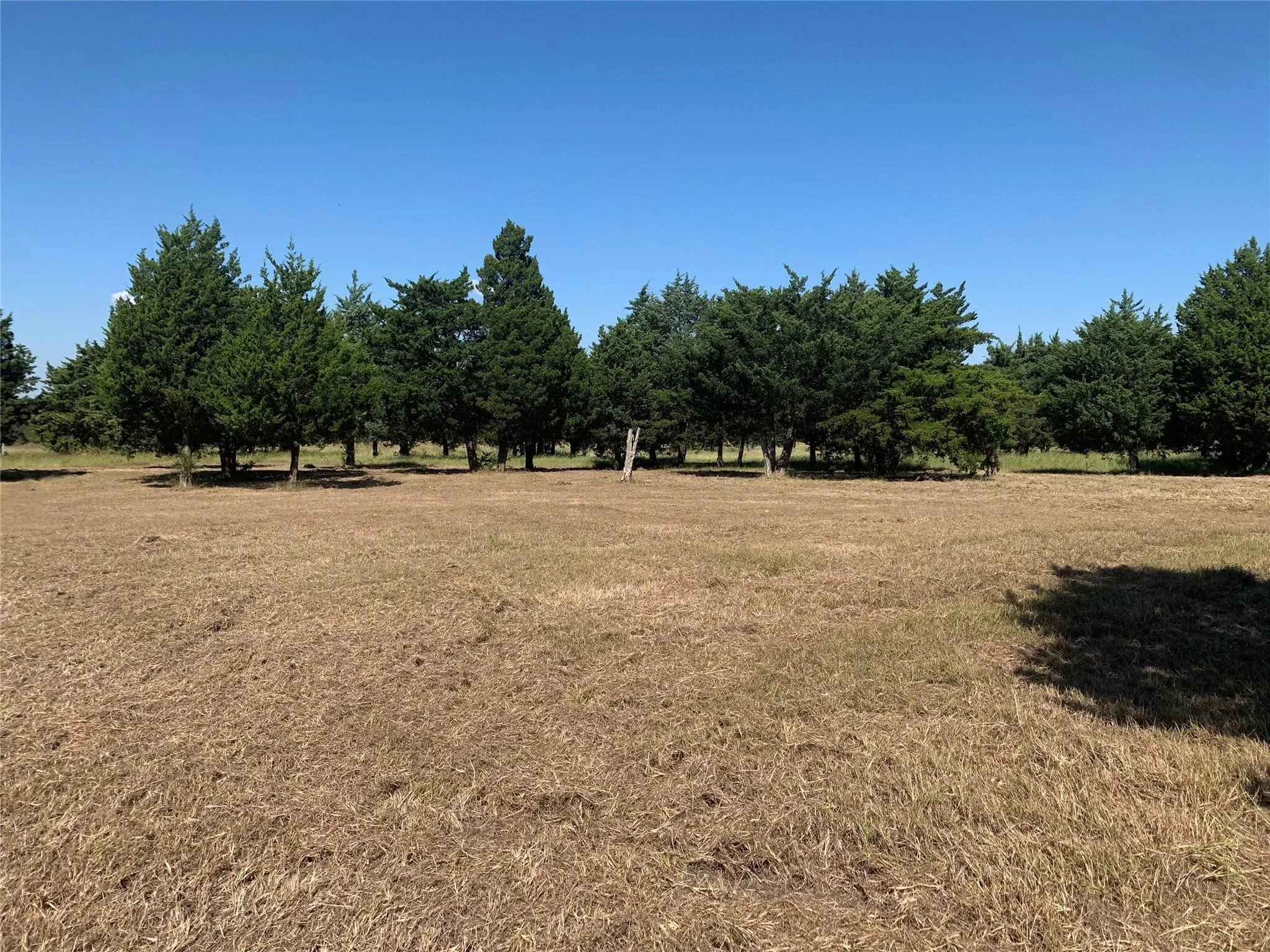 Open area on north side of property