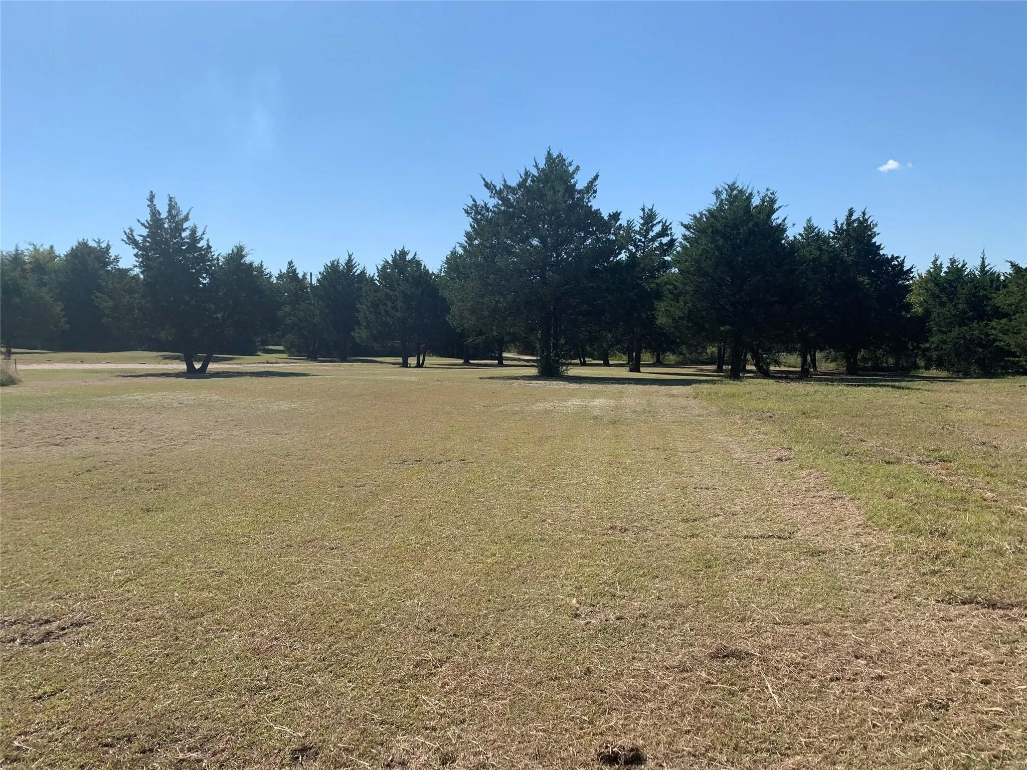 Expansive open land with a scattering of mature trees