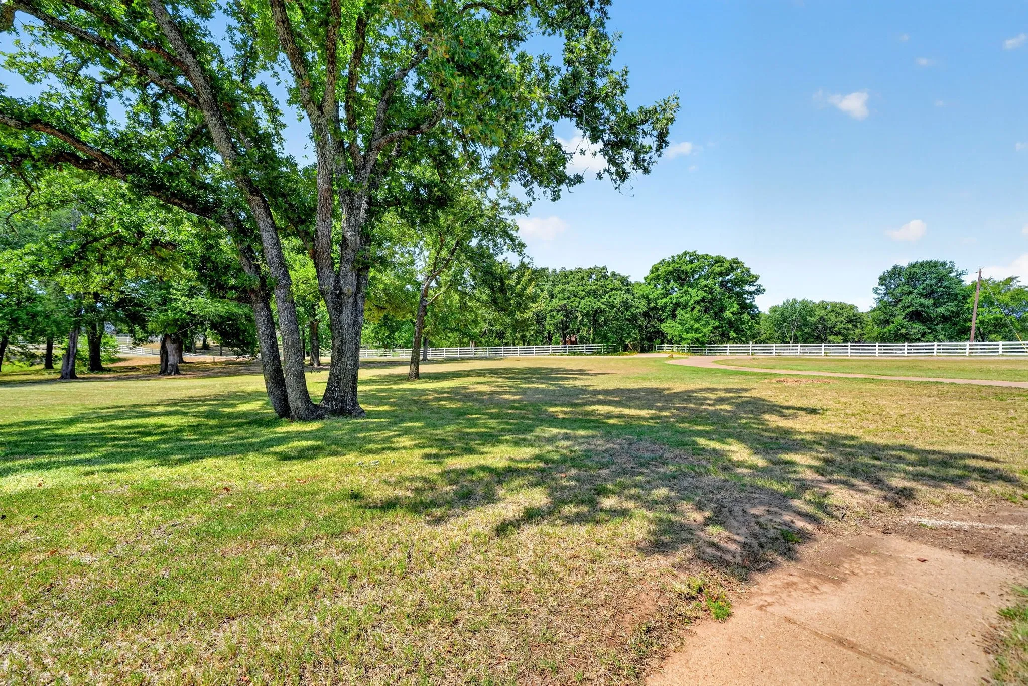 Expansive green space featuring mature trees, a white board fence, and a clear blue sky