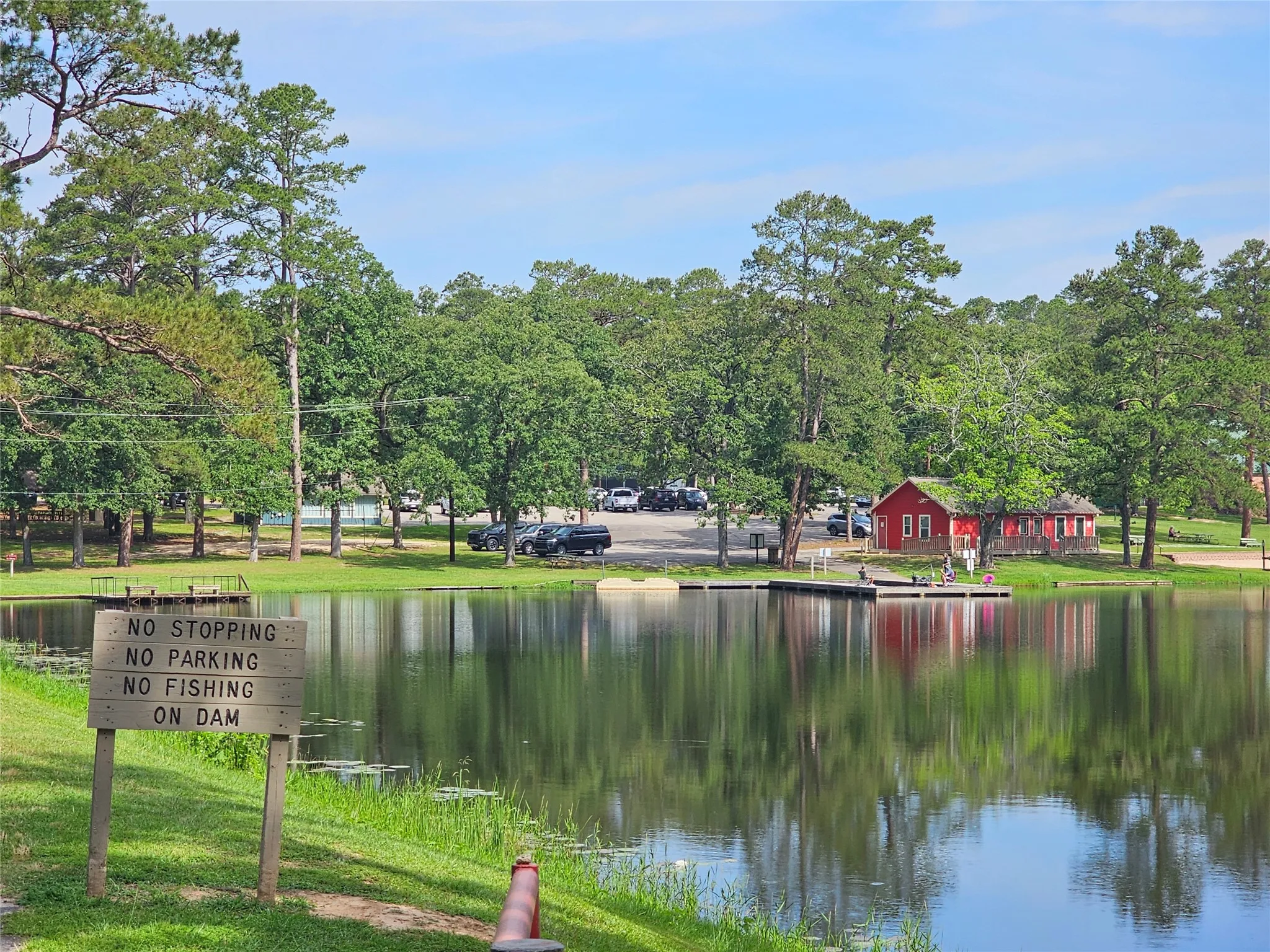 Reflective pond surface surrounded by abundant green trees and foliage