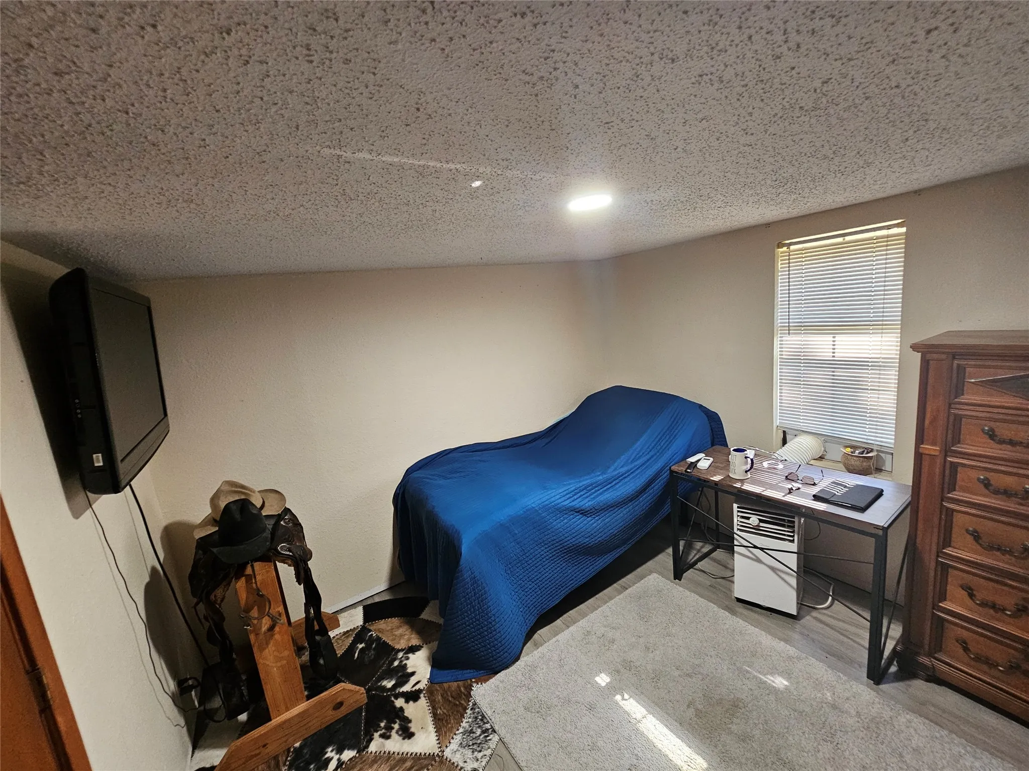 Room featuring light-toned walls, wood-finish flooring, and a textured ceiling