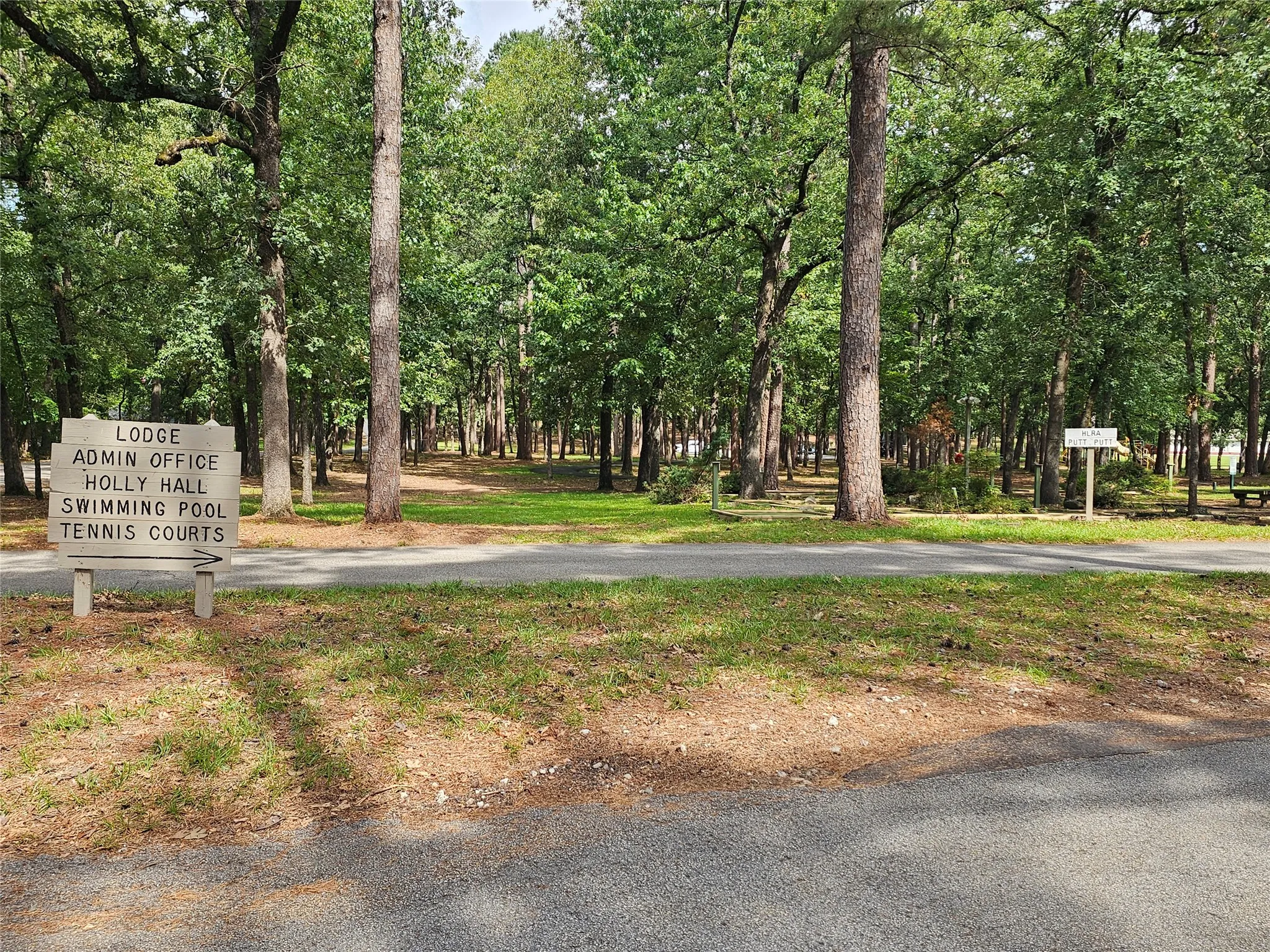 Unimproved Land For Sale in Wood County , TBD Green Meadow Trail, Holly Lake Ranch, Texas 75765, 0, 0, Garage spaces, 0 Sqft, built in 0, mls#21322734, Real Estate Agent in Holly Lake Ranch, Homes For Sale in Wood county, Homes For Sale in Holly Lake Ranch, Realtor in Holly Lake Ranch Texas, Real Estate Brokerage Independent Realty Texas, Luminita Cordes Realtor