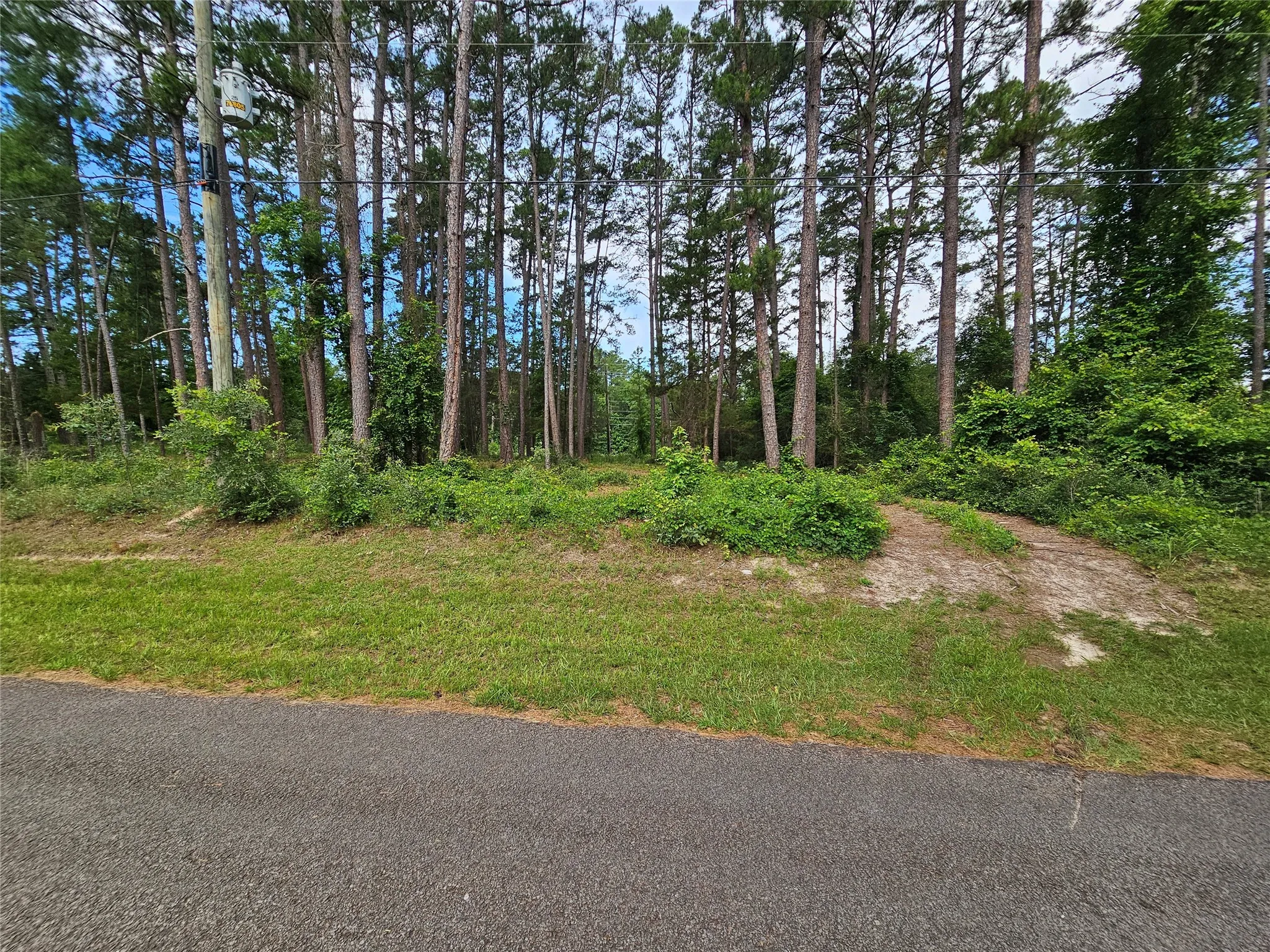 Unimproved Land For Sale in Wood County , TBD Green Meadow Trail, Holly Lake Ranch, Texas 75765, 0, 0, Garage spaces, 0 Sqft, built in 0, mls#21322734, Real Estate Agent in Holly Lake Ranch, Homes For Sale in Wood county, Homes For Sale in Holly Lake Ranch, Realtor in Holly Lake Ranch Texas, Real Estate Brokerage Independent Realty Texas, Luminita Cordes Realtor