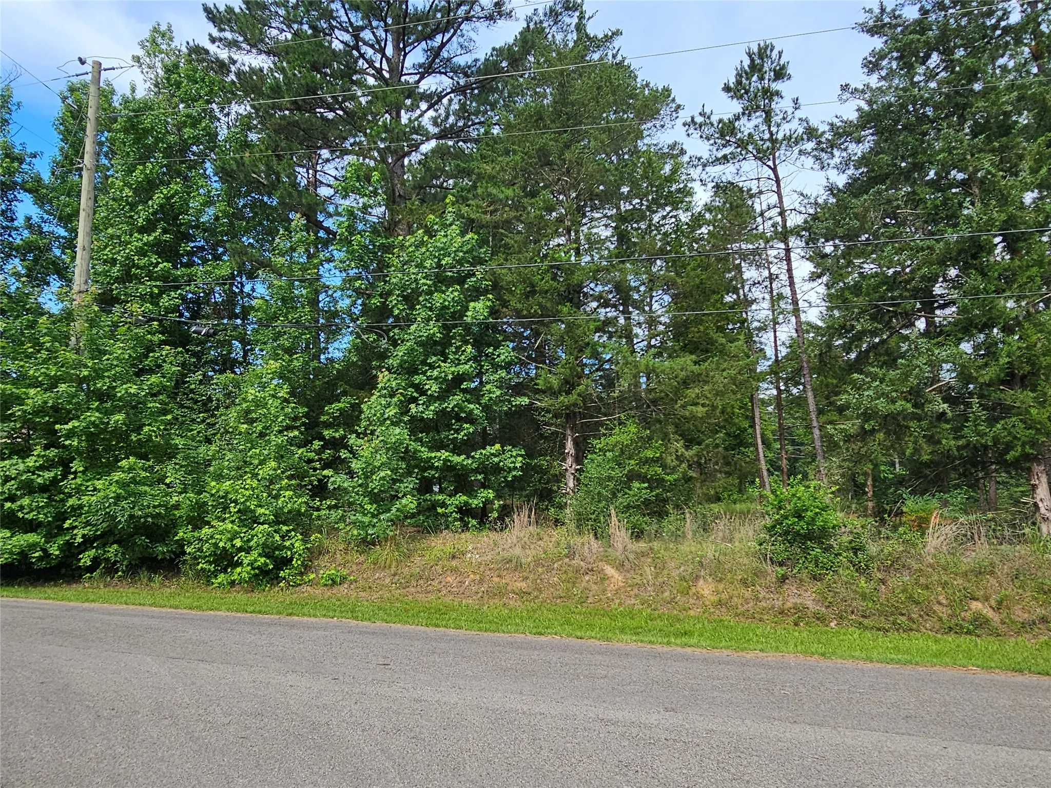 Unimproved Land For Sale in Wood County , TBD Green Meadow Trail, Holly Lake Ranch, Texas 75765, 0, 0, Garage spaces, 0 Sqft, built in 0, mls#21322734, Real Estate Agent in Holly Lake Ranch, Homes For Sale in Wood county, Homes For Sale in Holly Lake Ranch, Realtor in Holly Lake Ranch Texas, Real Estate Brokerage Independent Realty Texas, Luminita Cordes Realtor