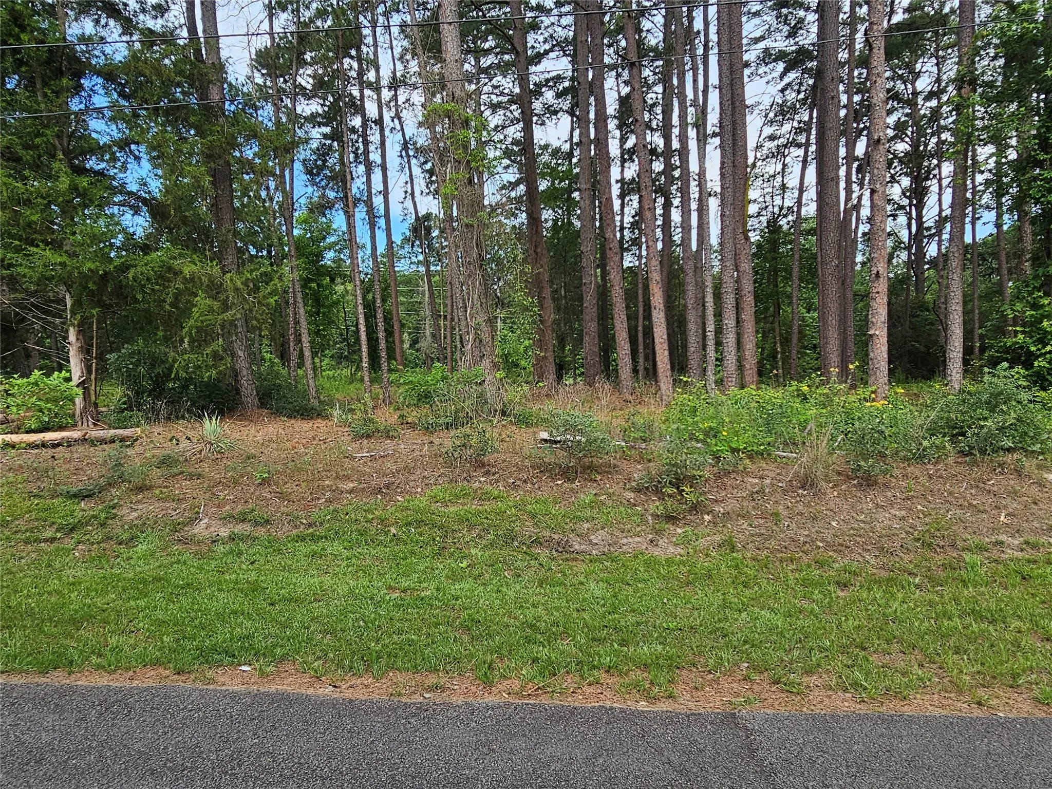 Unimproved Land For Sale in Wood County , TBD Green Meadow Trail, Holly Lake Ranch, Texas 75765, 0, 0, Garage spaces, 0 Sqft, built in 0, mls#21322734, Real Estate Agent in Holly Lake Ranch, Homes For Sale in Wood county, Homes For Sale in Holly Lake Ranch, Realtor in Holly Lake Ranch Texas, Real Estate Brokerage Independent Realty Texas, Luminita Cordes Realtor