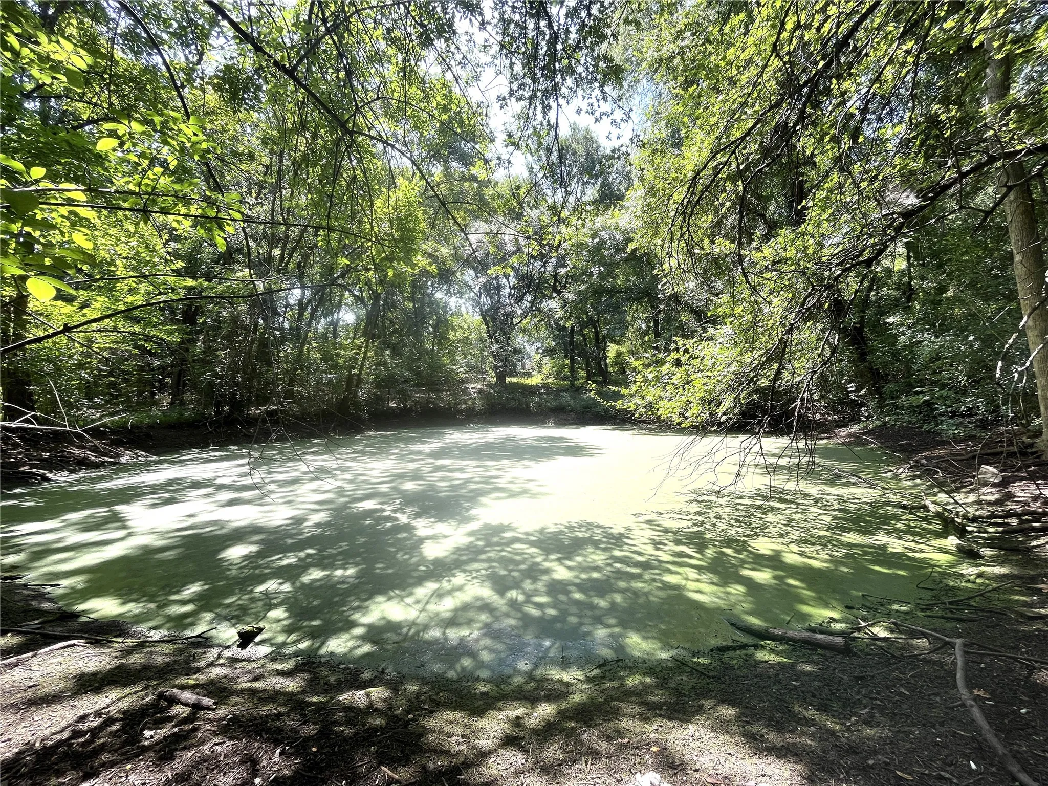 Single Family Residence For Sale in Ellis County , 1229 Epps Road, Palmer, Texas 75152, 3 Bedroom, 2 Bathroom, 2 Garage spaces, 1,470 Sqft, built in 2000, mls#21340223, Real Estate Agent in Palmer, Homes For Sale in Ellis county, Homes For Sale in Palmer, Realtor in Palmer Texas, Real Estate Brokerage Independent Realty Texas, Luminita Cordes Realtor